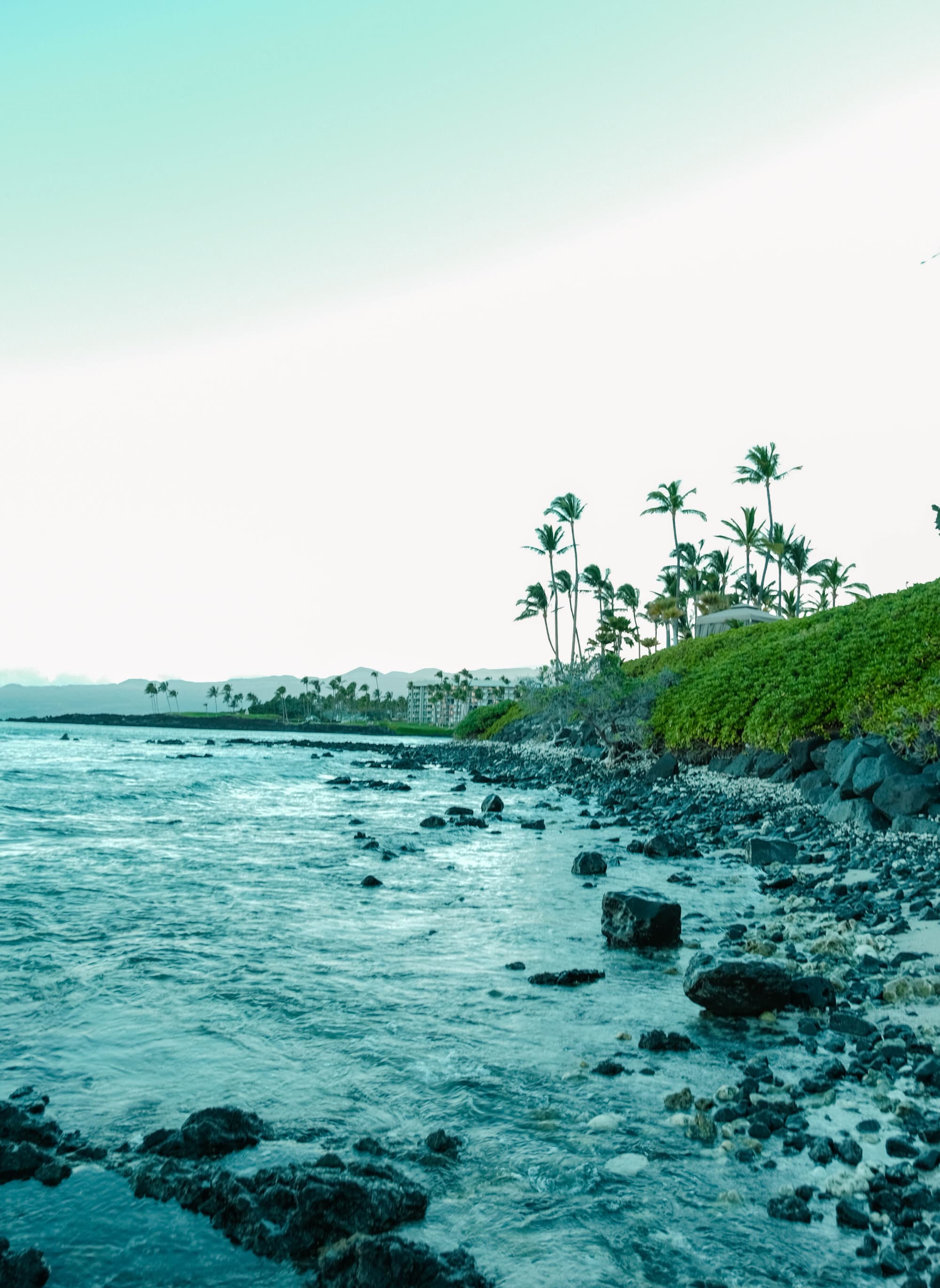 A picturesque coastal landscape with palm trees and resort buildings, evoking a sense of tropical tranquility.