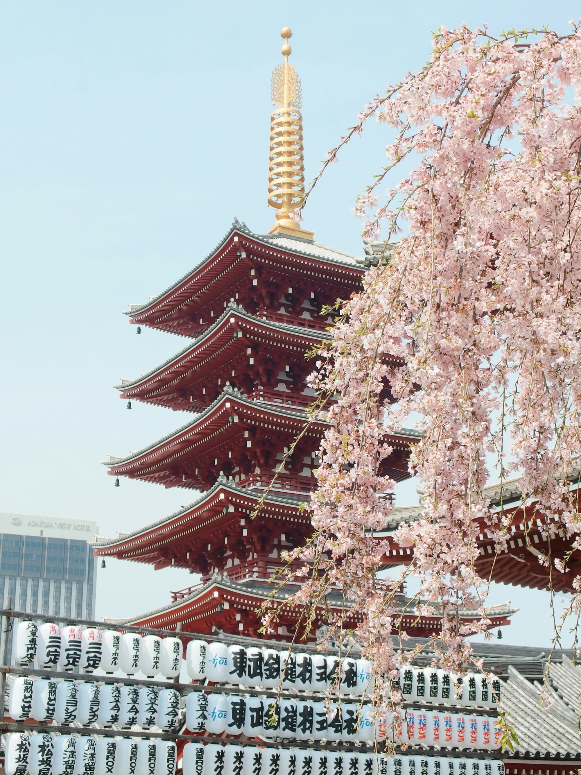 A traditional Japanese pagoda framed by blooming cherry blossoms, with lanterns and banners adding to the serene temple ambiance.