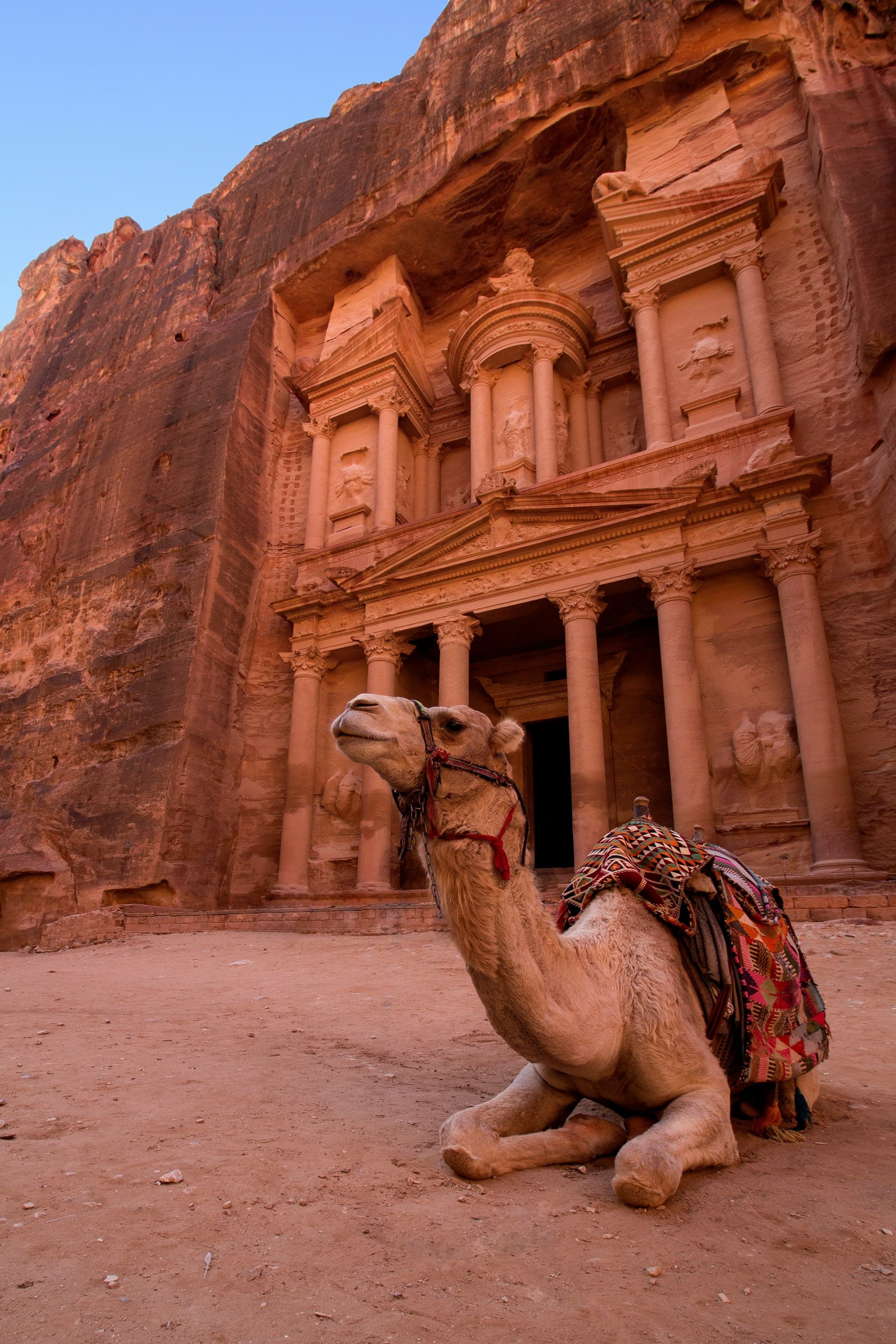 Camel in front of old rock formation.