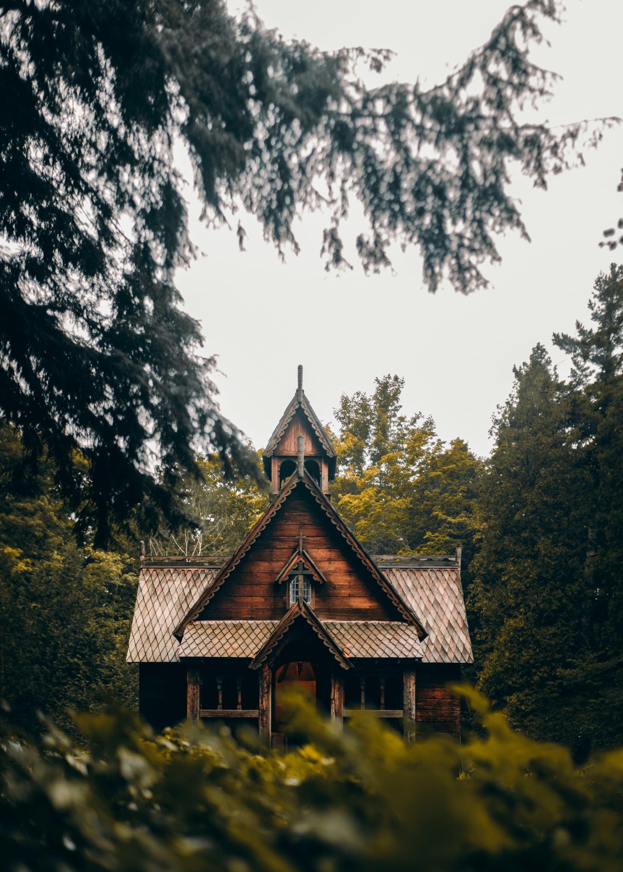 A humble wooden cabin in the forest on a sunny day.