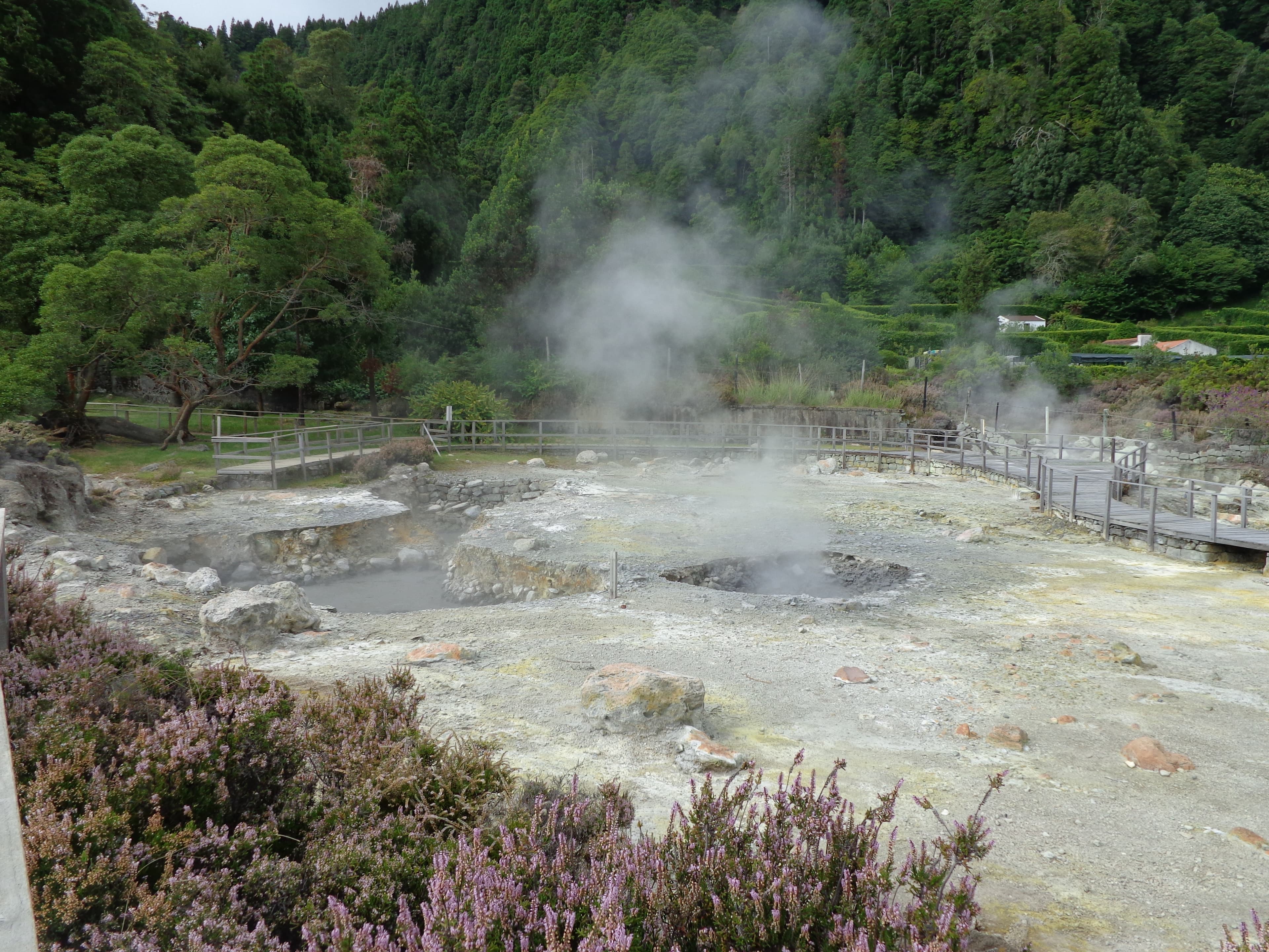 day 3, Antigo Pomar das Caldeiras da Lagoa das Furnas