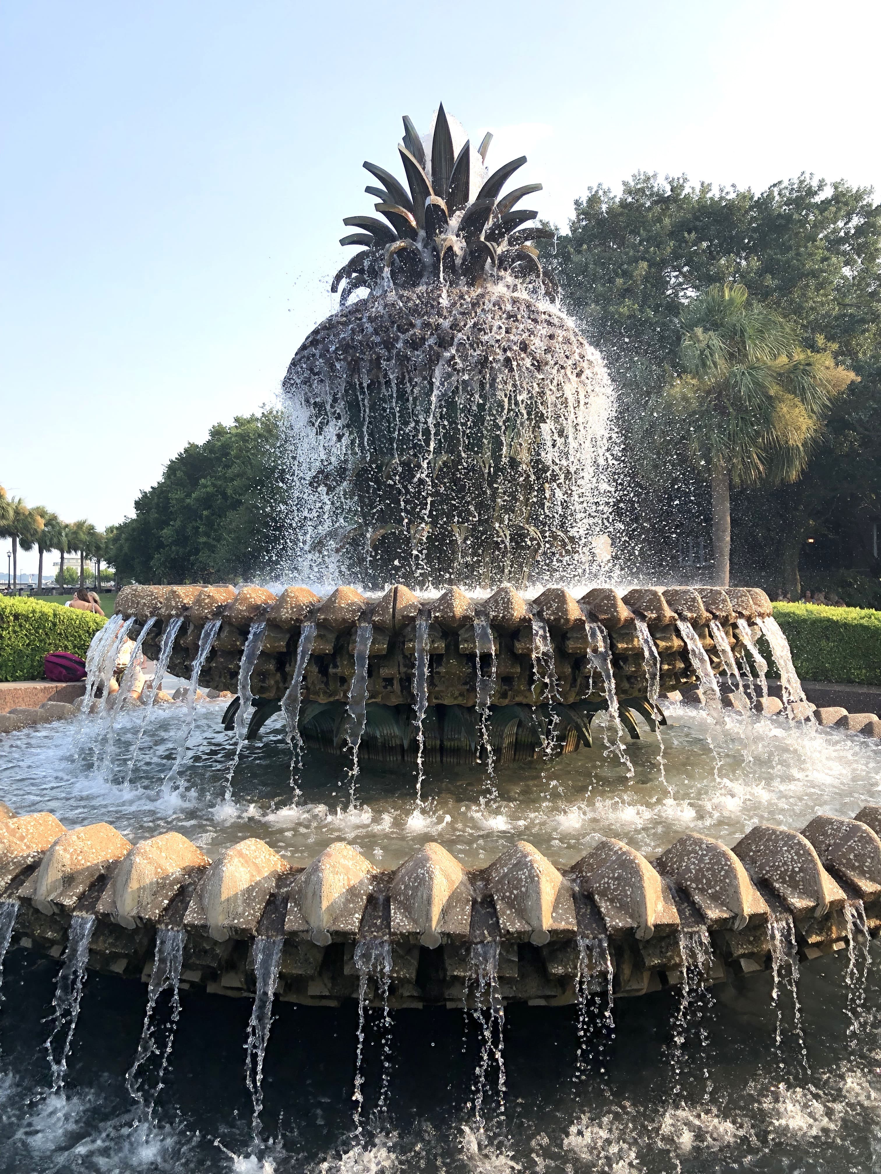 water on the center garden in Charleston