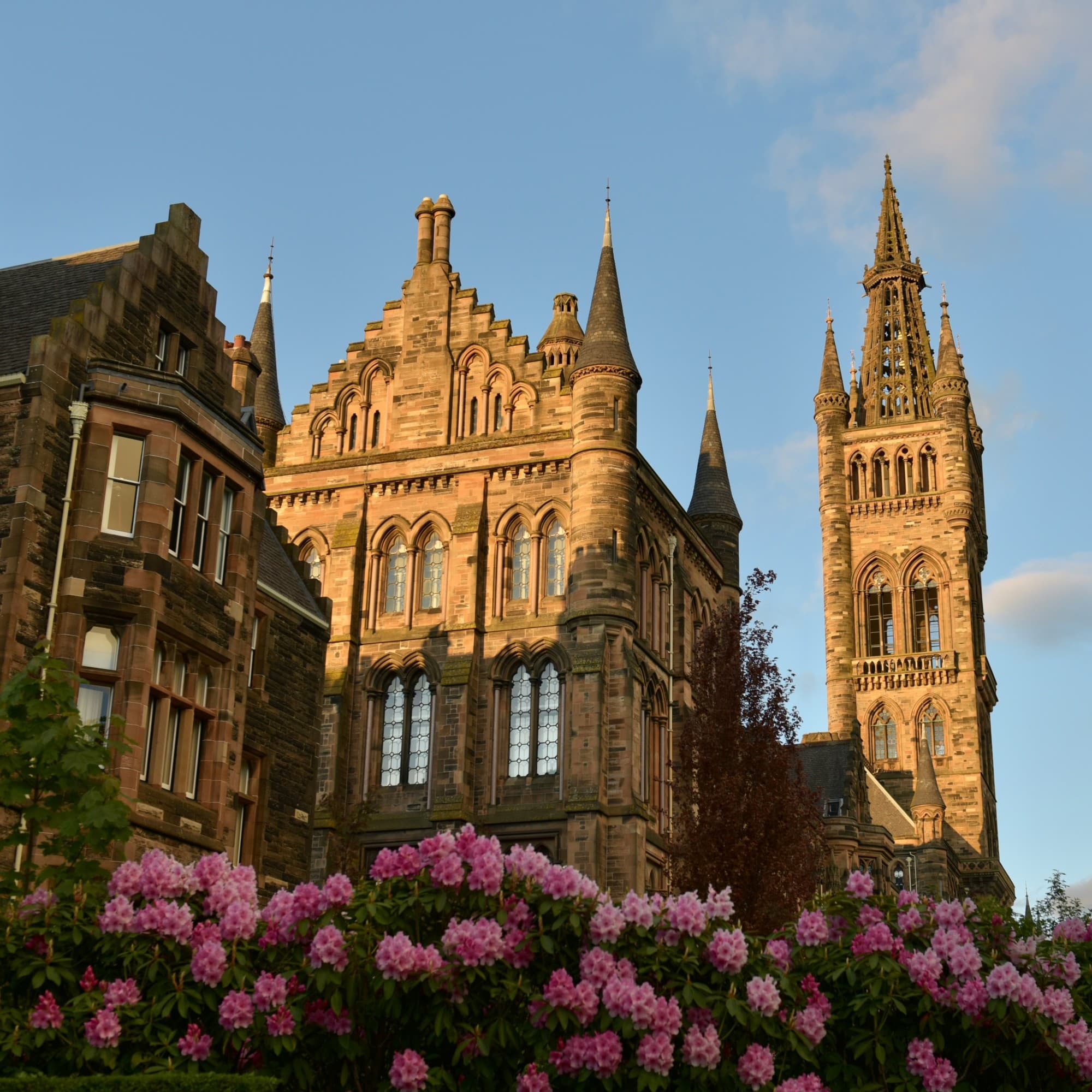 Castle behind pink roses.