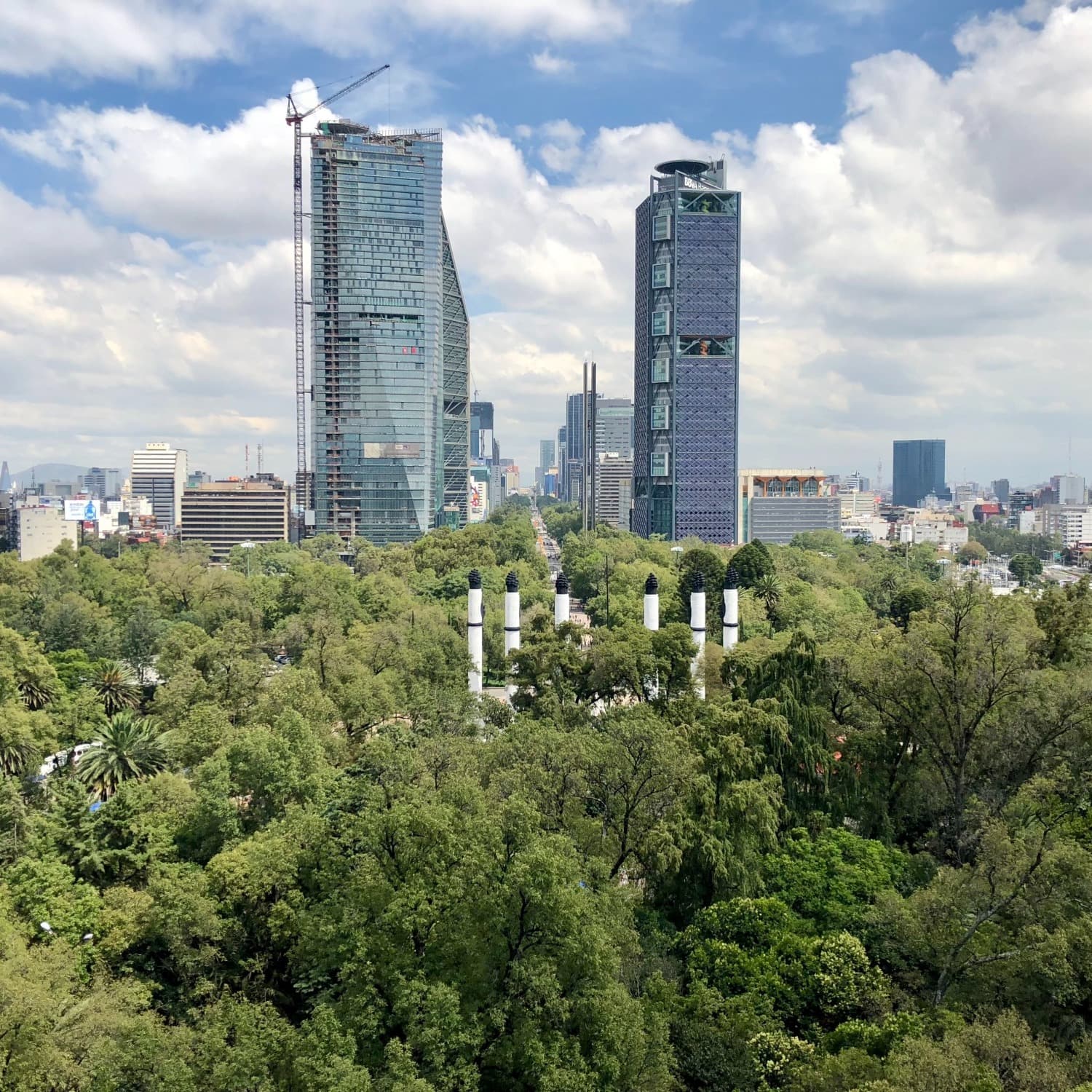 View of city buildings and trees.