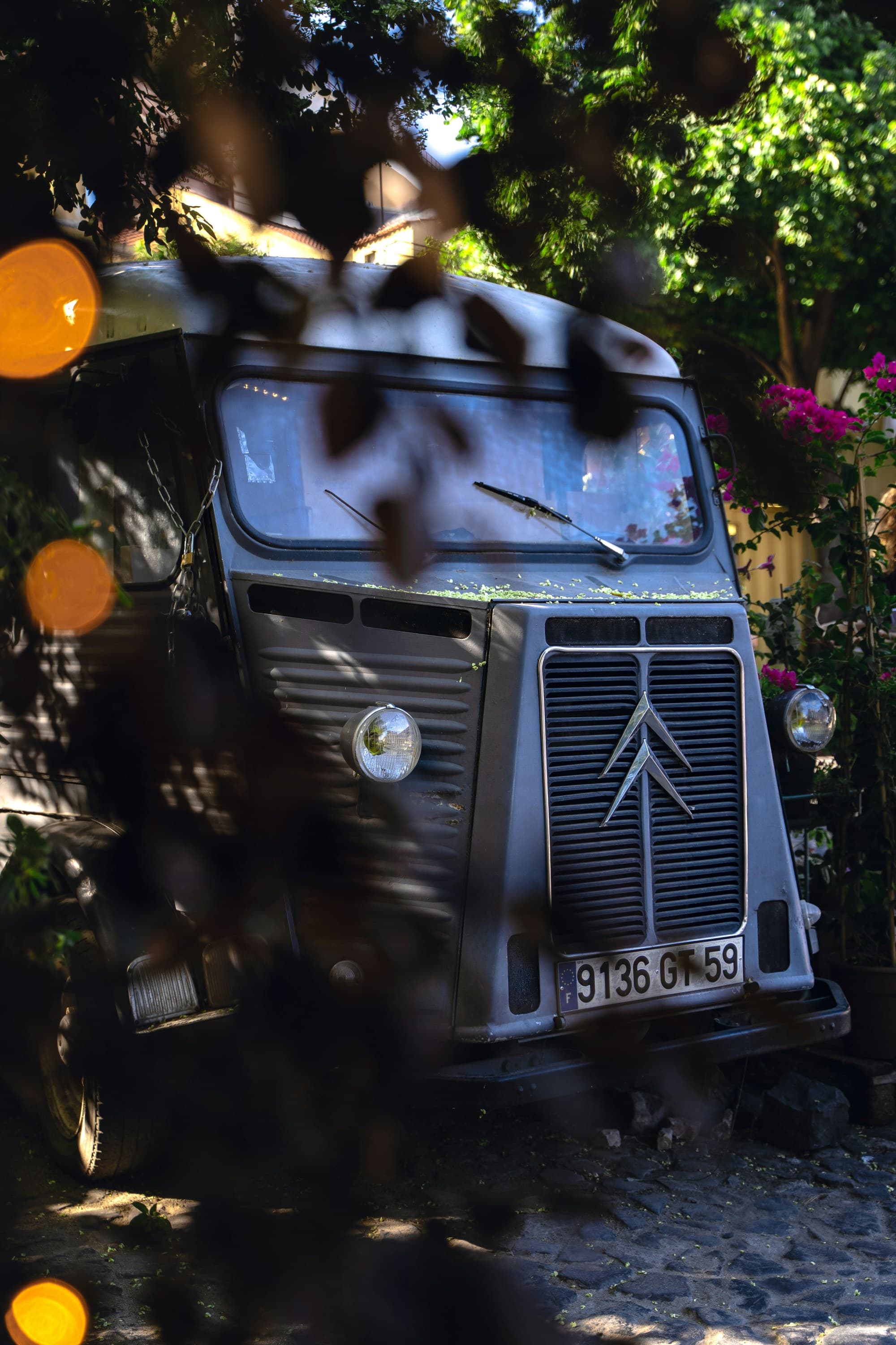 An old truck parked behind trees.