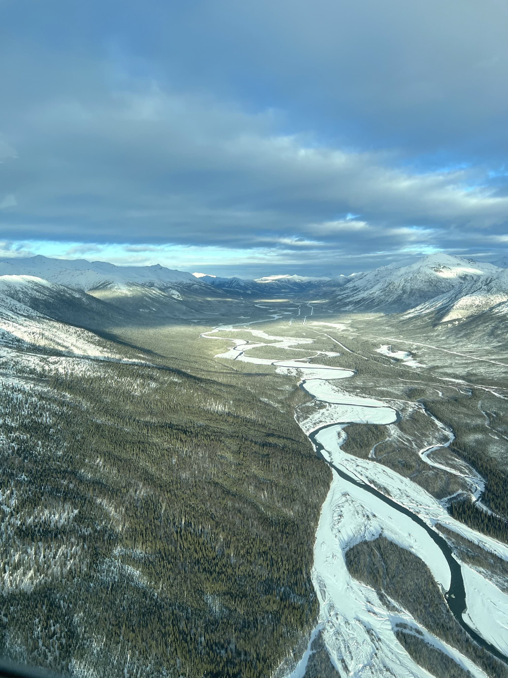 An aerial view of trees and snowy terrain beneath a cloudy sky.