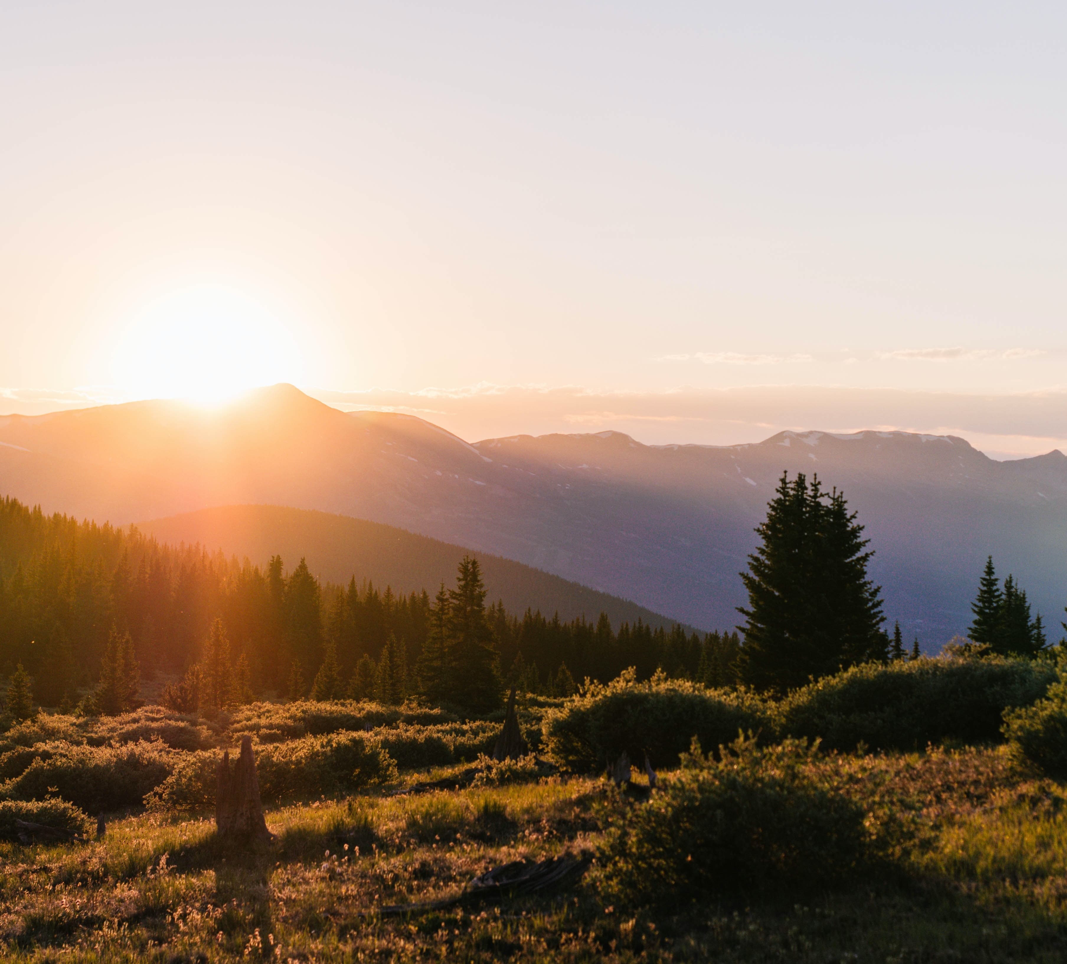 mountain with trees during sunset