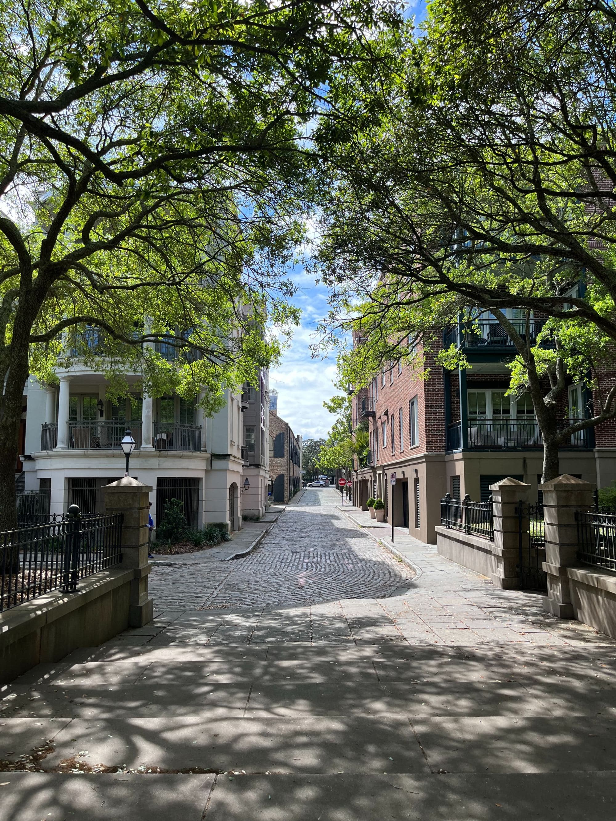 cobblestone treelined street