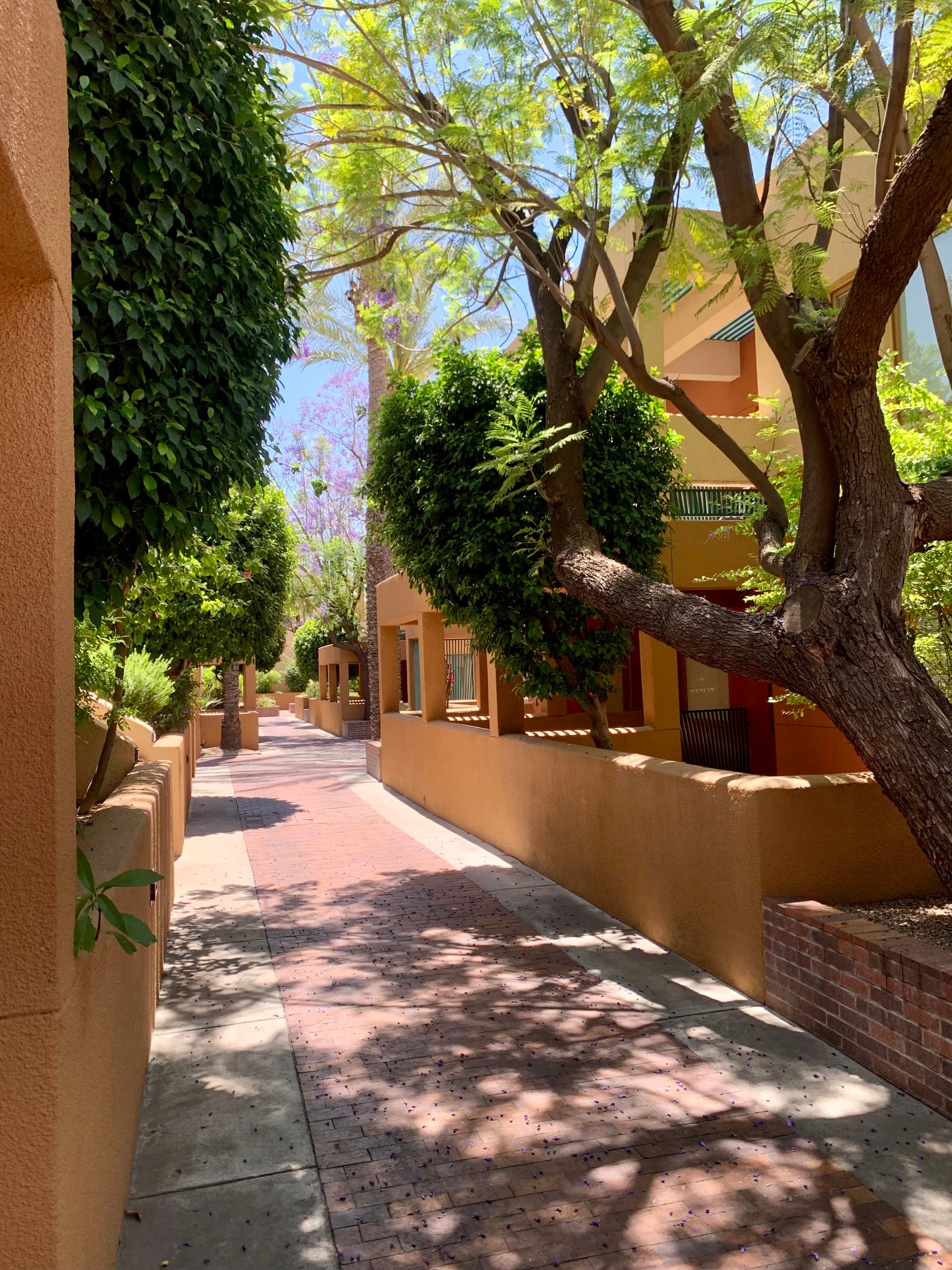 A pathway with brown buildings and trees on the side.