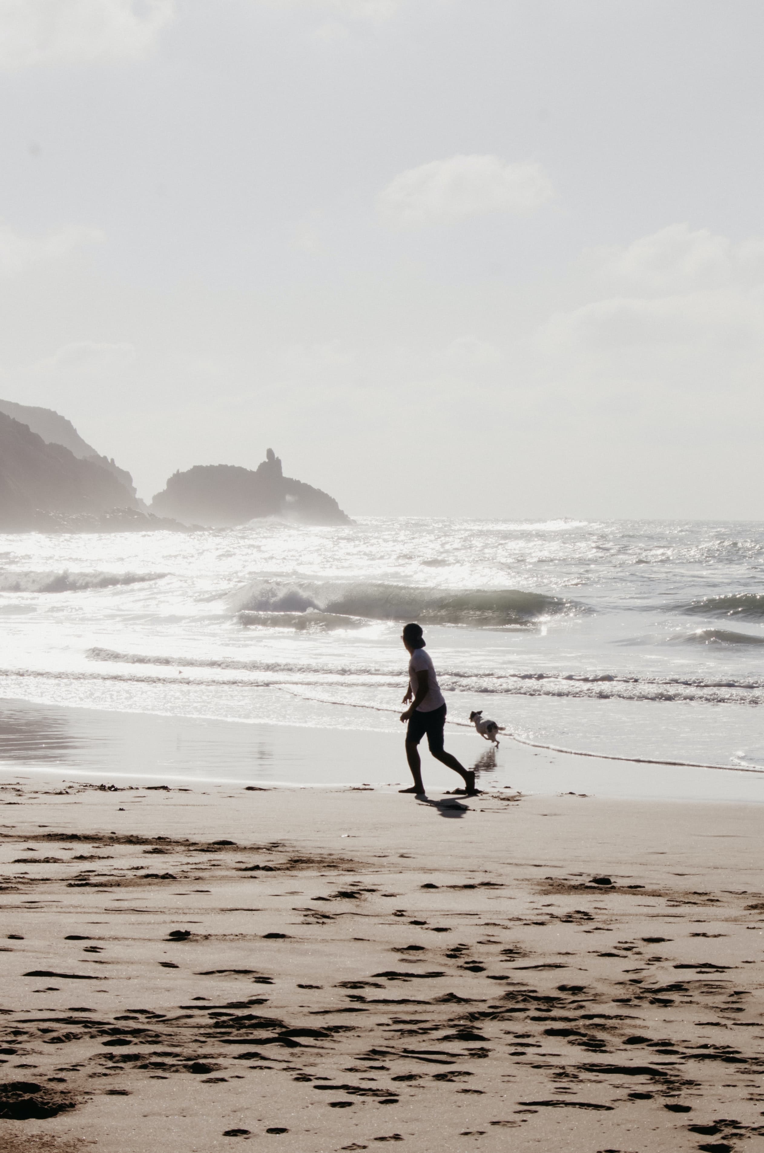 Person and dog on beach with water and cliffs in the background