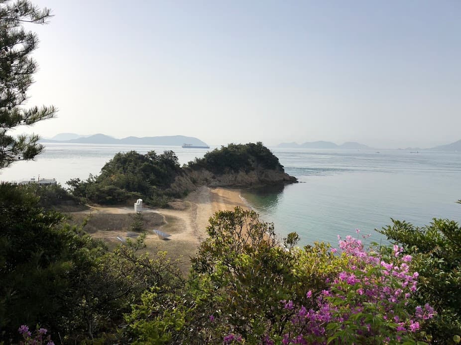 A beach area with flowers and plants.