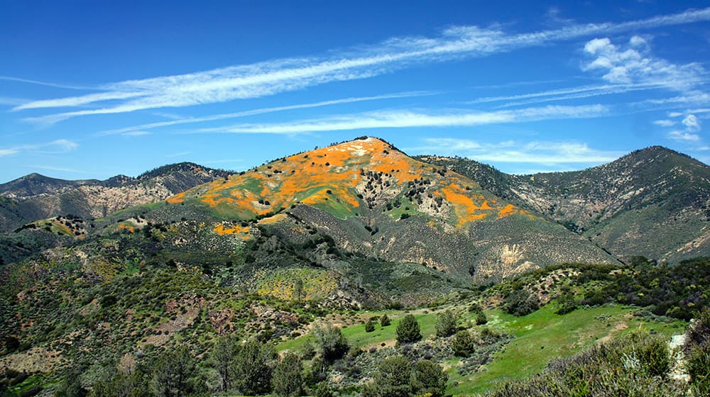 Green and orange hills in los alamos California with blue sky and white clouds