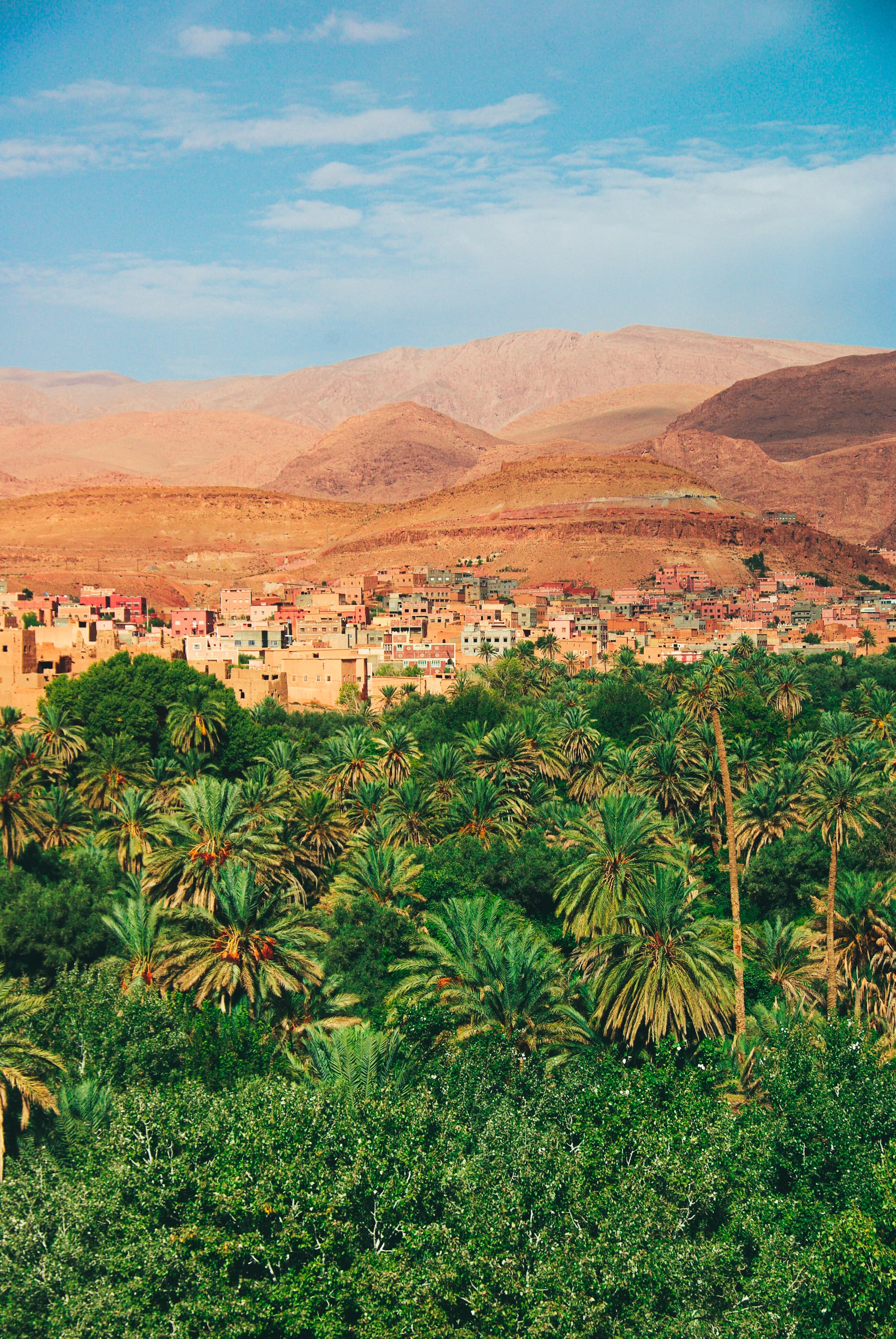 Green plants with houses and desert in the background during daytime