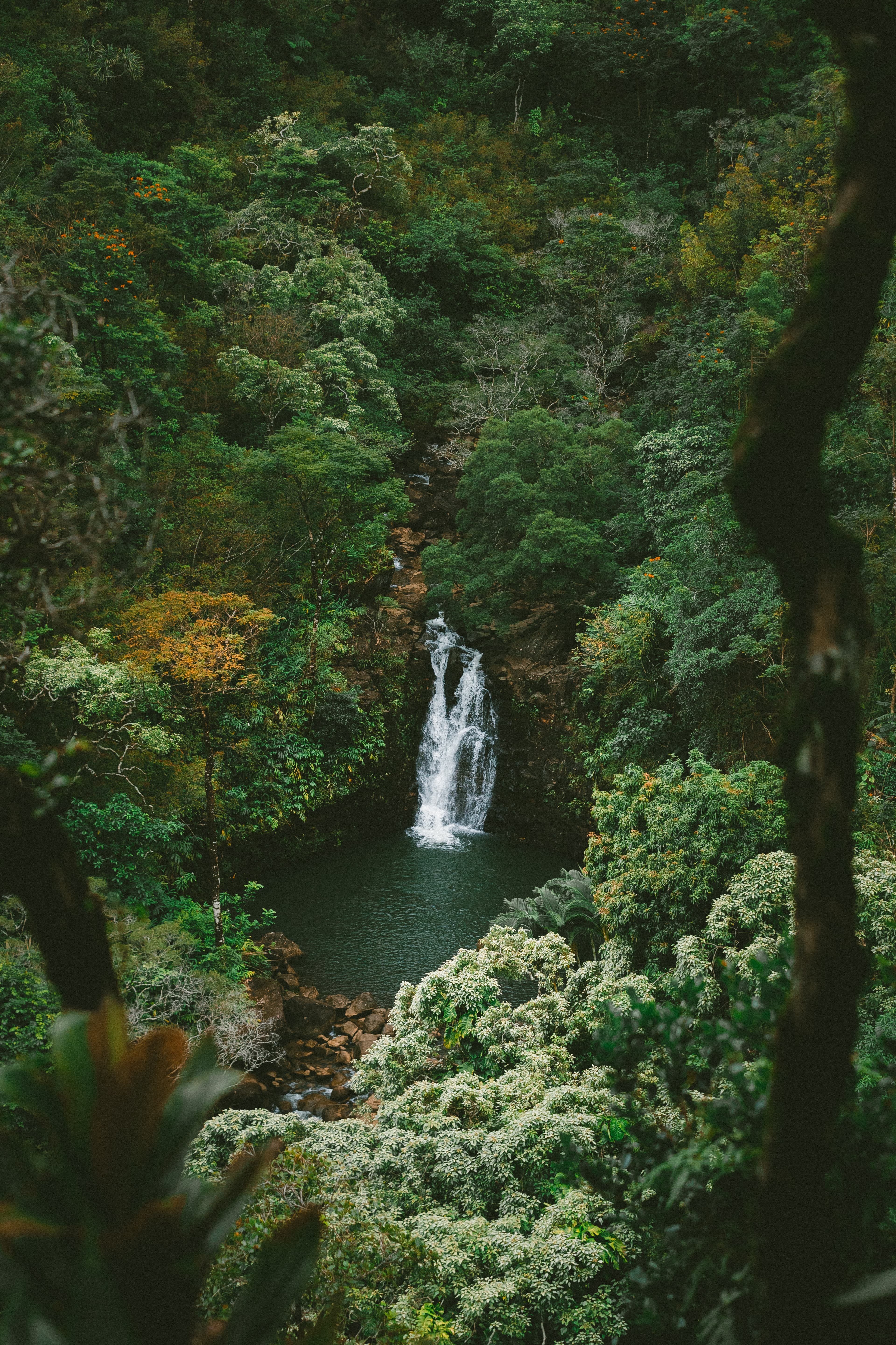 Waterfall surrounded by green forest during daytime