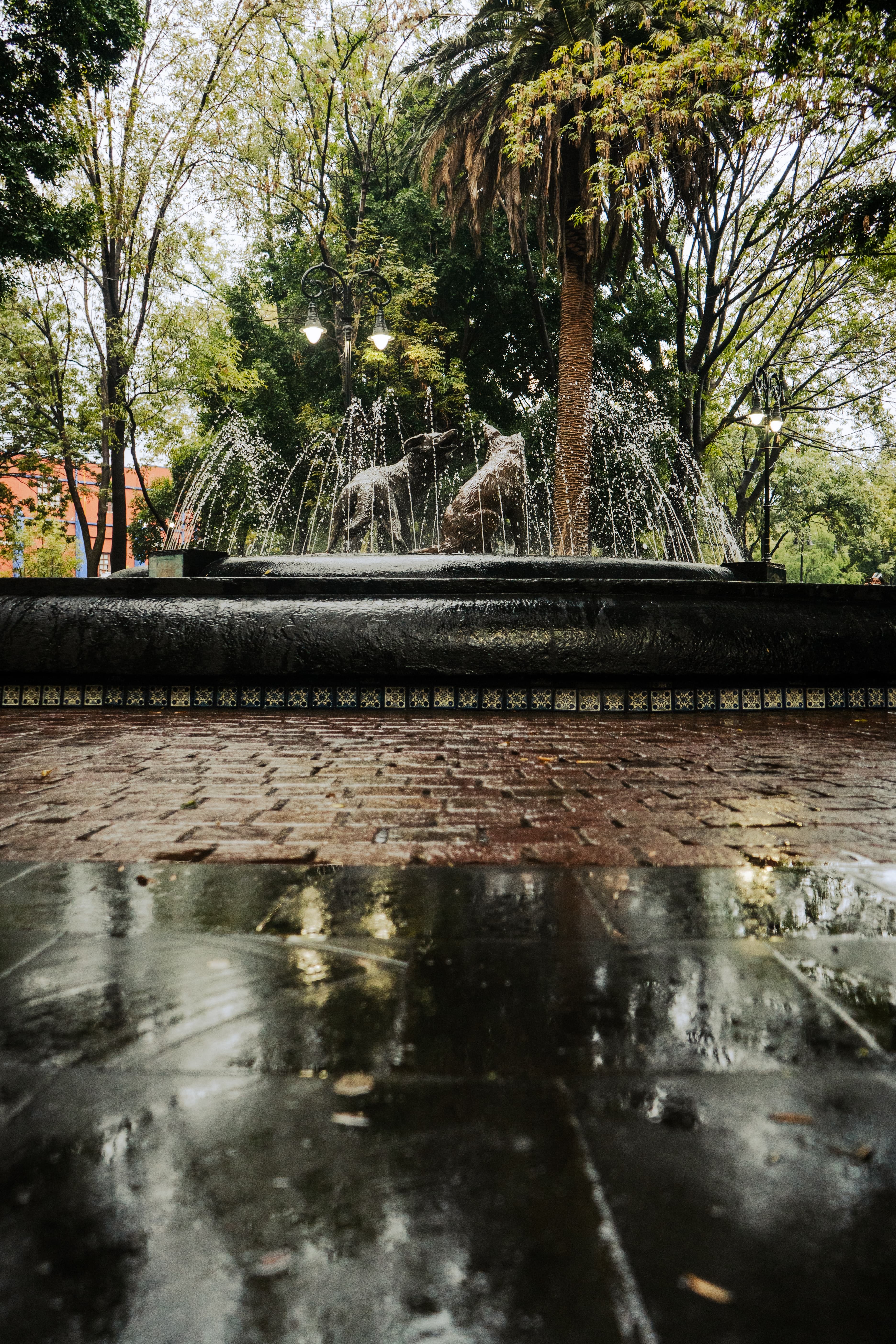 A beautiful fountain flanked by a lush park in Mexico City.