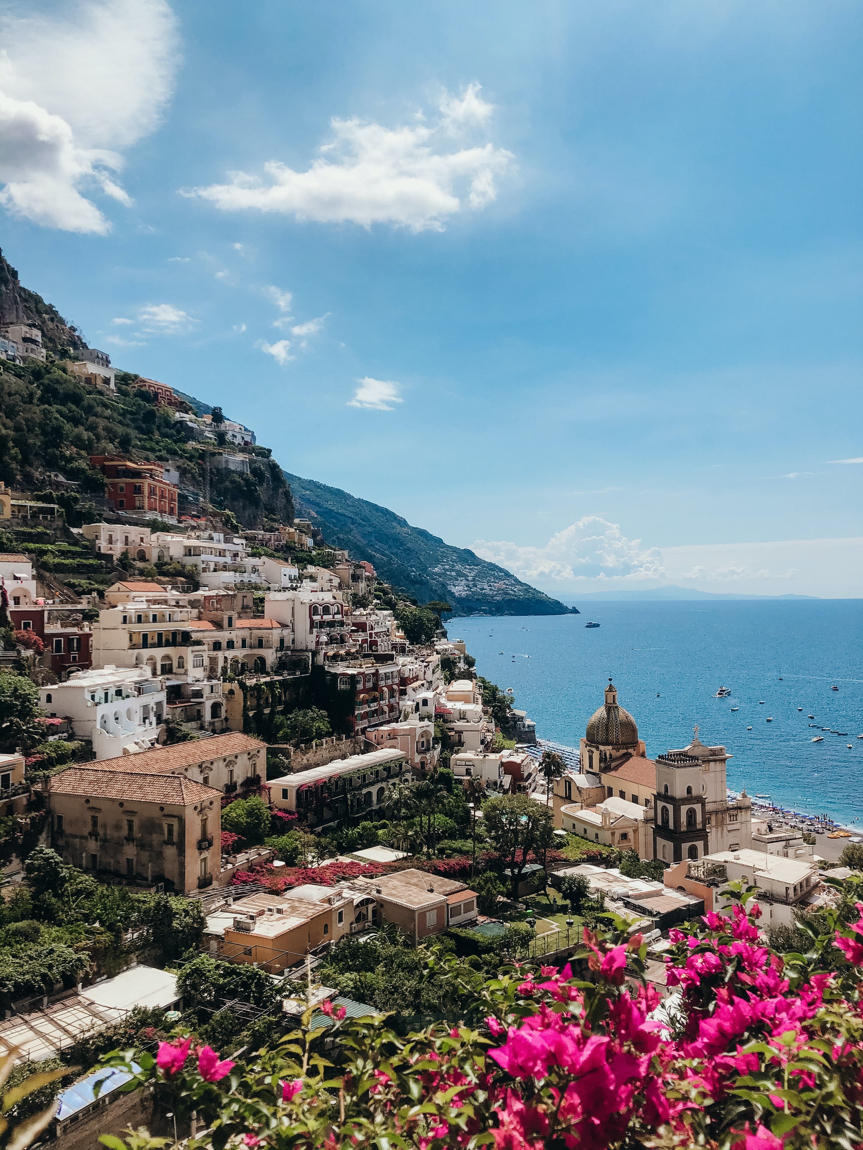 Pink flowers with buildings on mountains with blue ocean on a sunny day