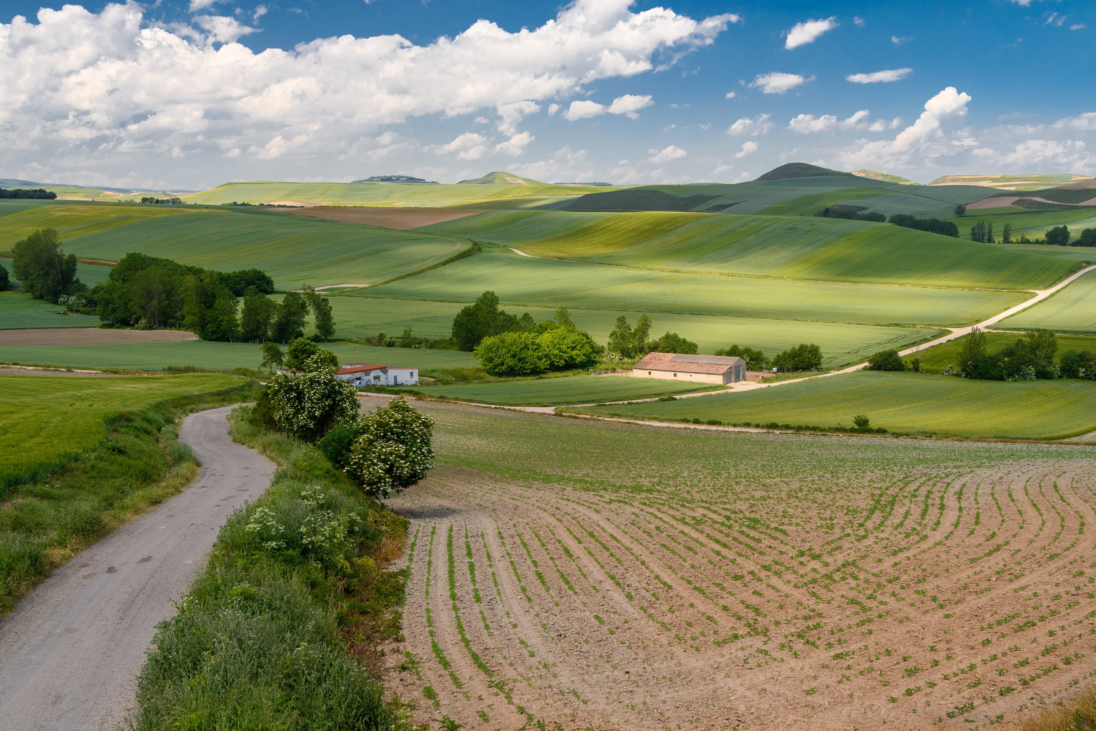 Rolling green hills and a paved road during daytime