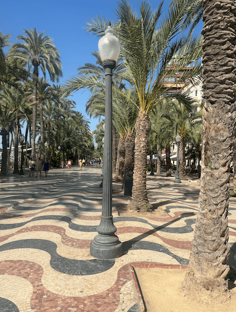 A decorated road surrounded by palm trees during the daytime