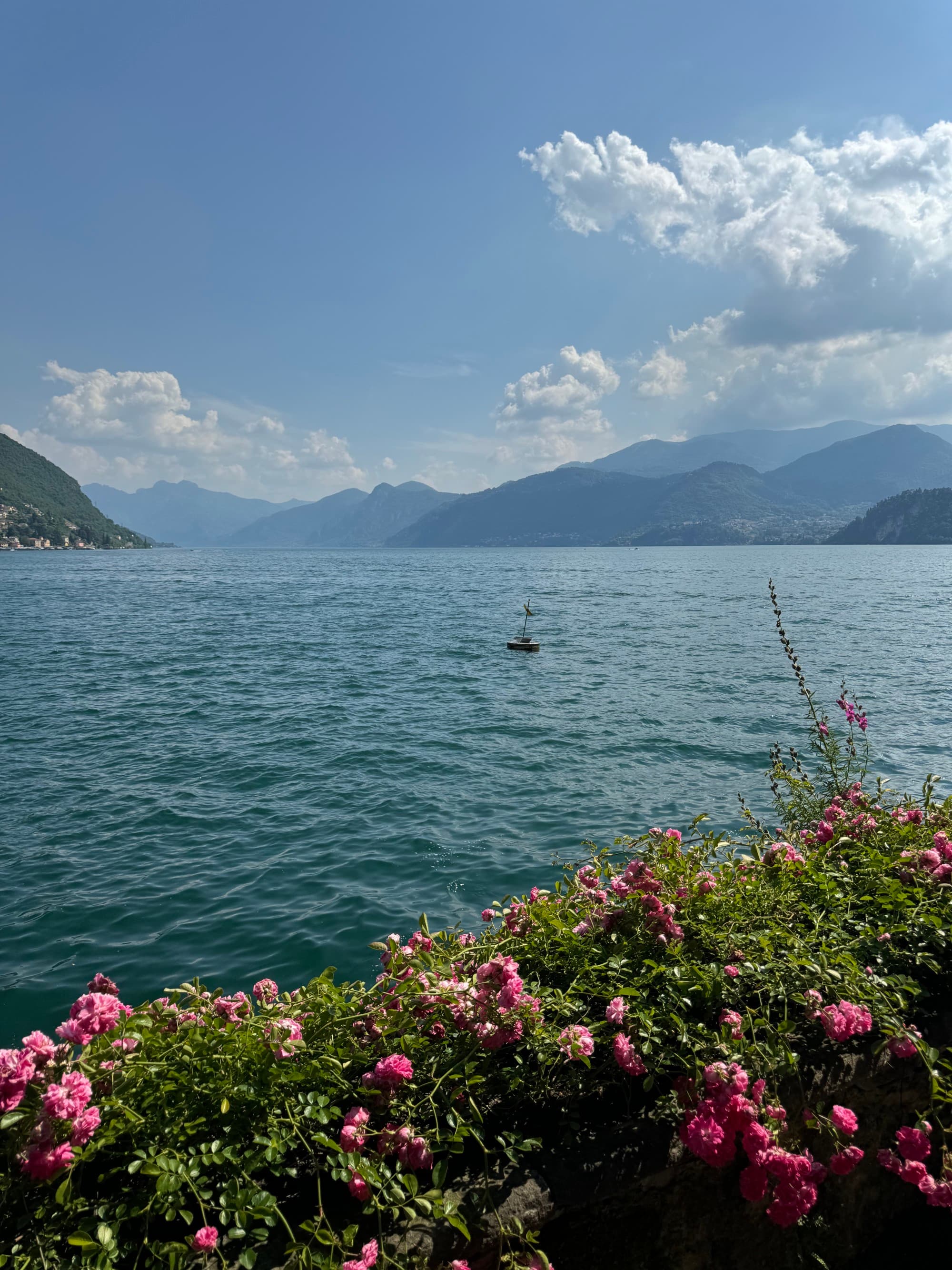 Flowers in a bush in front of a lake with mountains in the distance