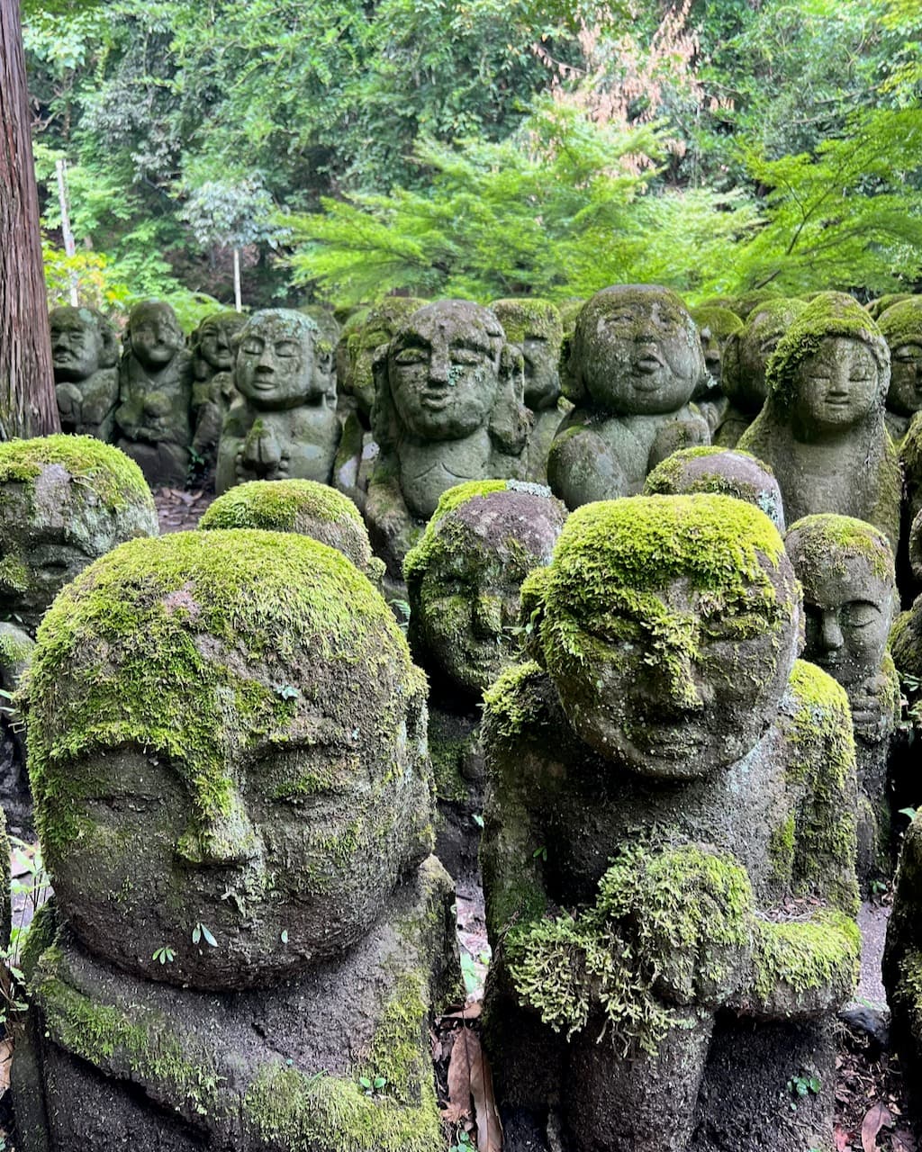 A grouping of stone statue faces with moss growing on them.