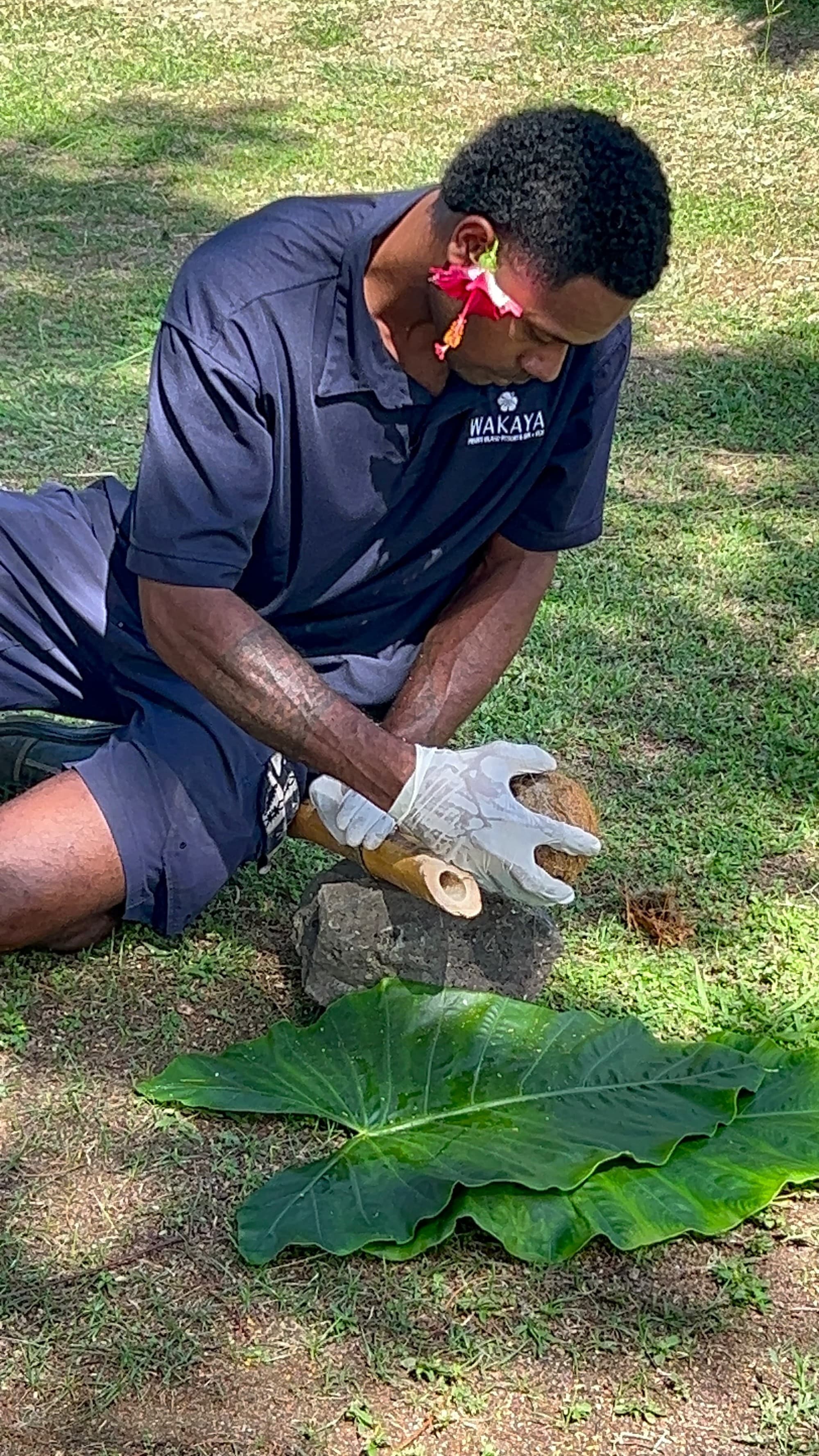 A person sitting on the ground working with green plants