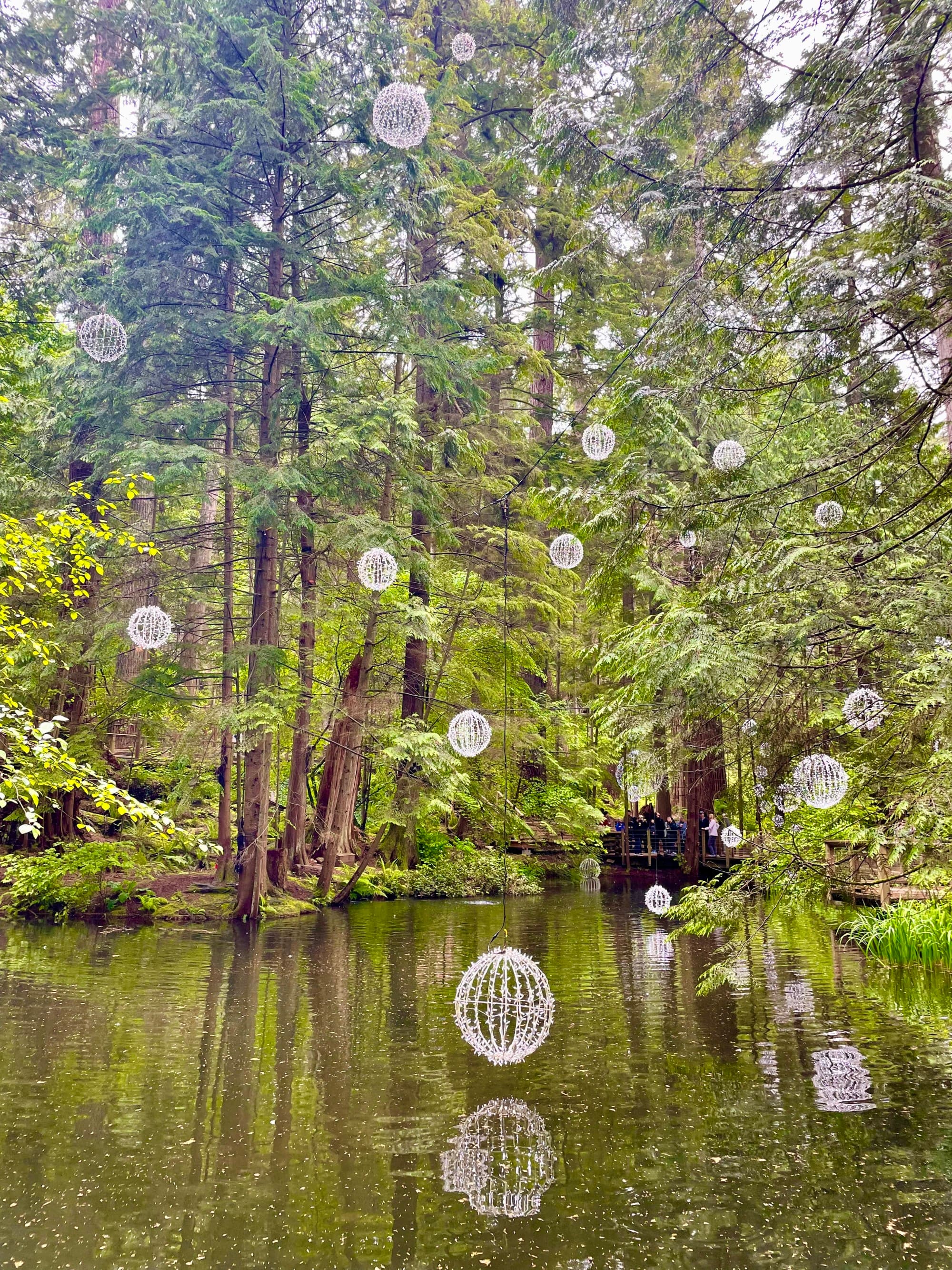 View of a pond surrounded by trees in the valley.