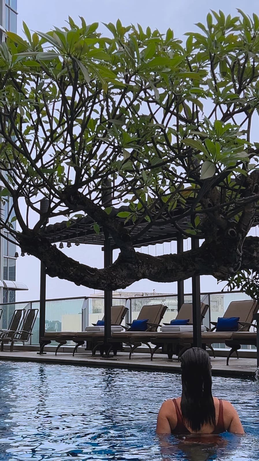 A woman in the hotel pool with a large tree overhead