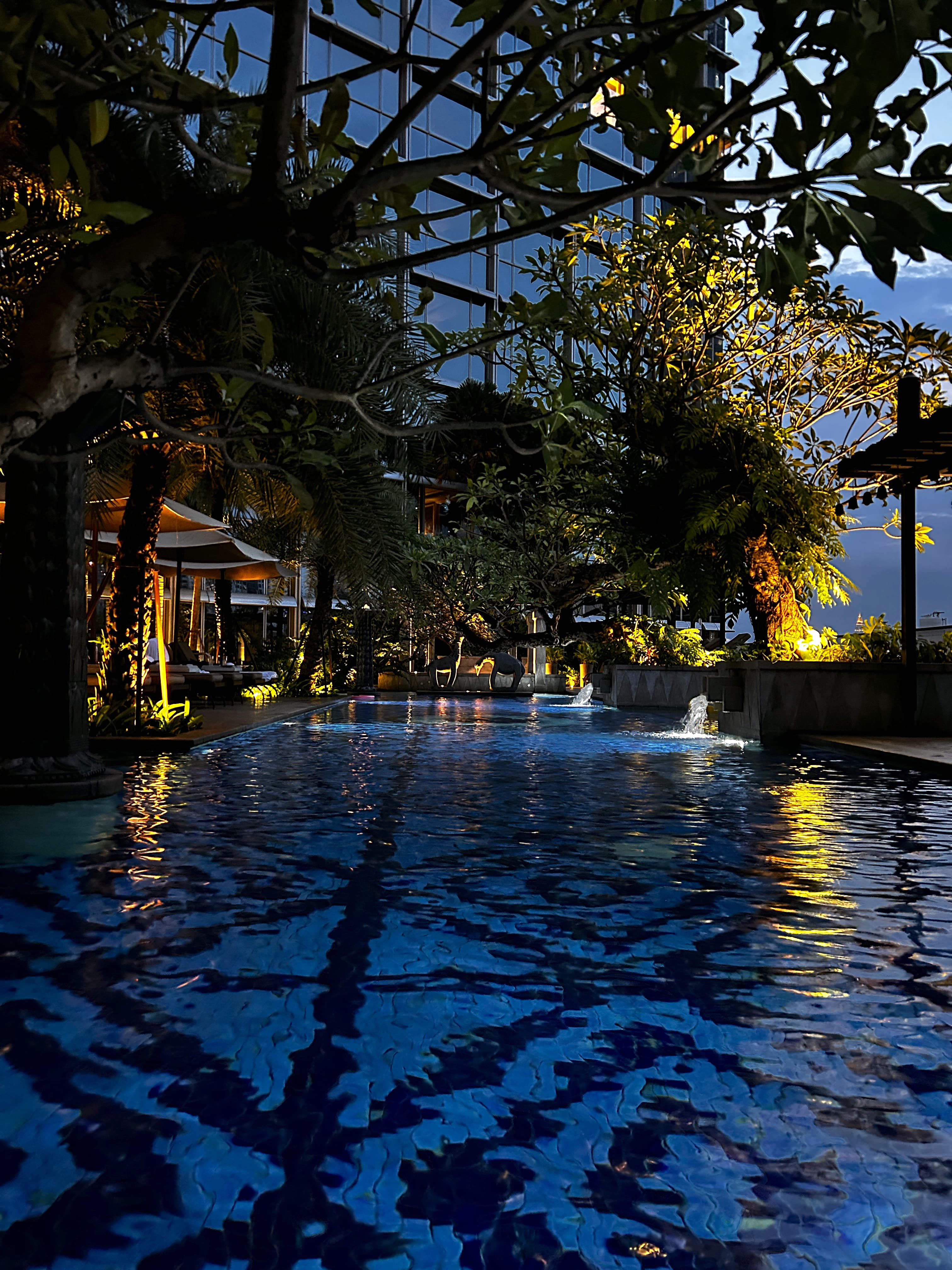 The pool area with trees and lighting at night