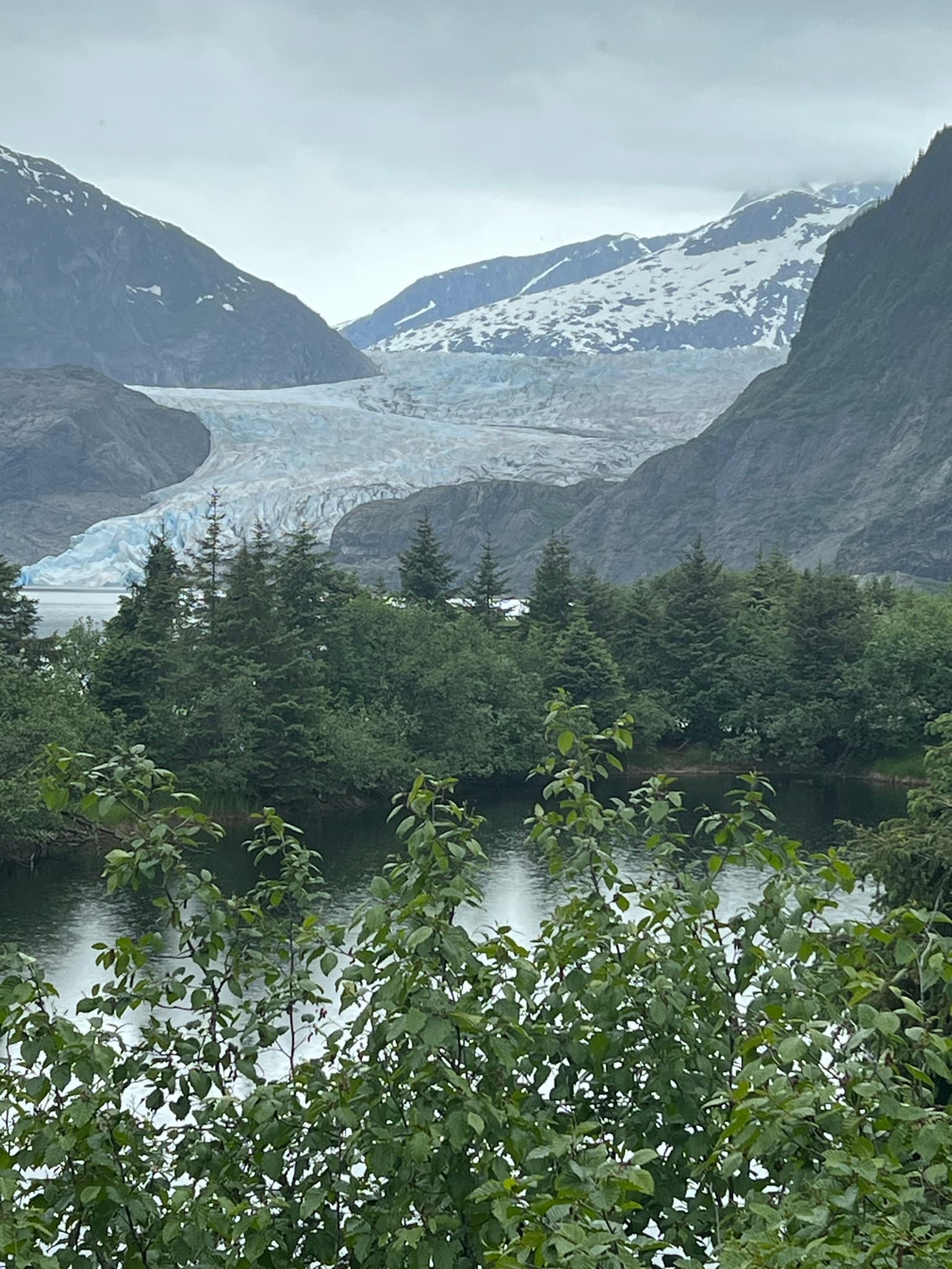 A view of an evergreen forest in the forefront, and a river, glacier and mountains beyond the forest on a cloudy day.