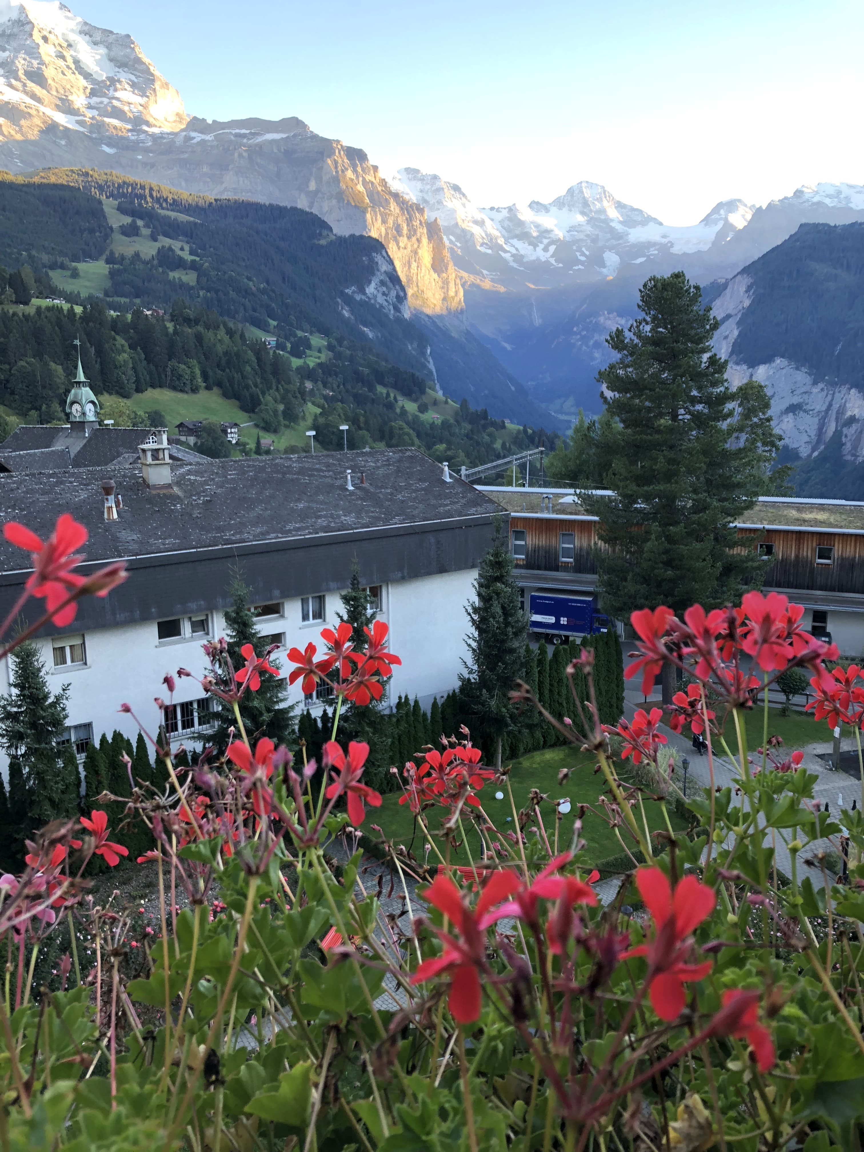 A pretty view of pink flowers, some rural-style buildings, and the Swiss Alps topped with a bit of snow in the background.