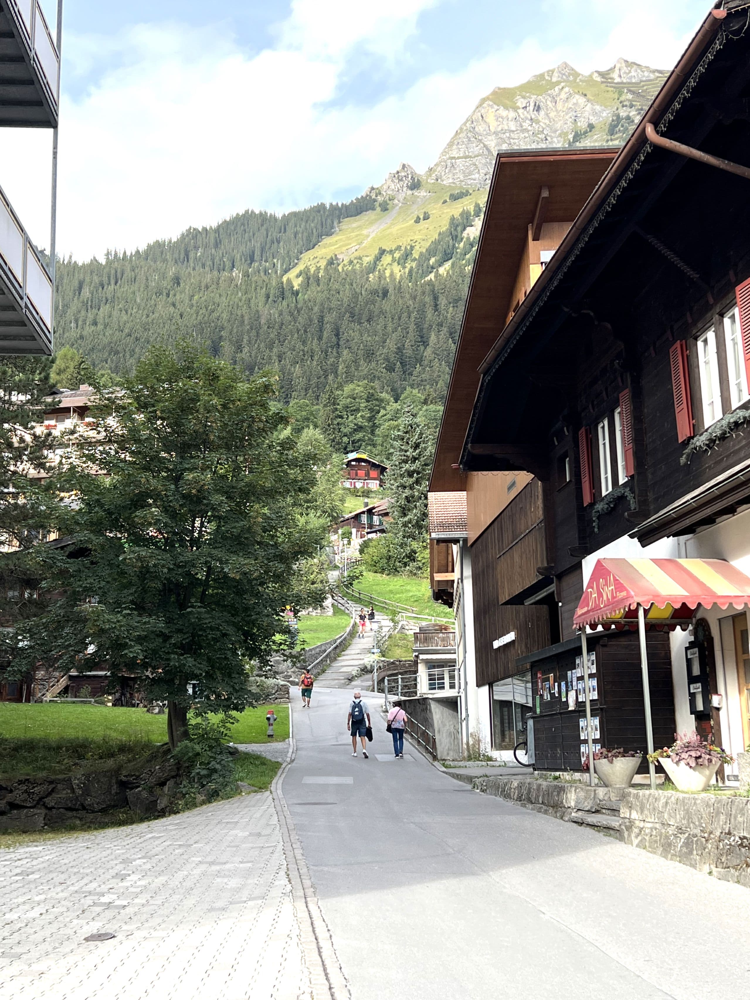 A road leading to the hotel, with brown, wooden buildings, green grass and trees and a mountain peak in the background on a sunny day.