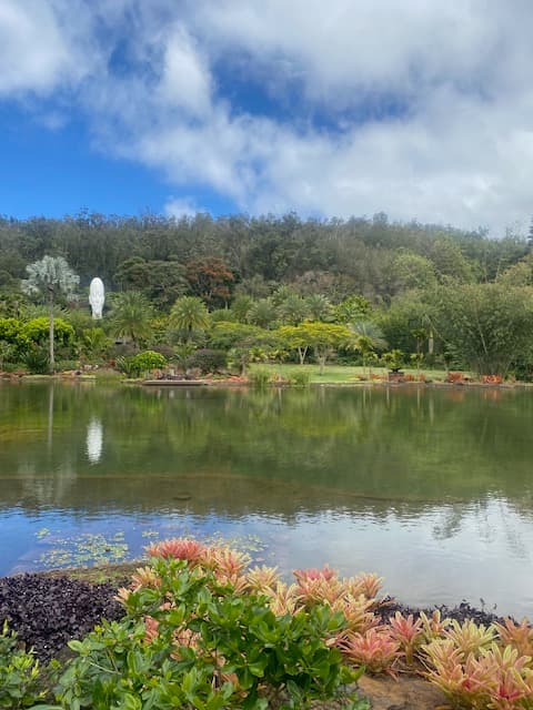 A picture of a reflective pond with various plants and trees in the surrounding area beneath a cloudy blue sky.