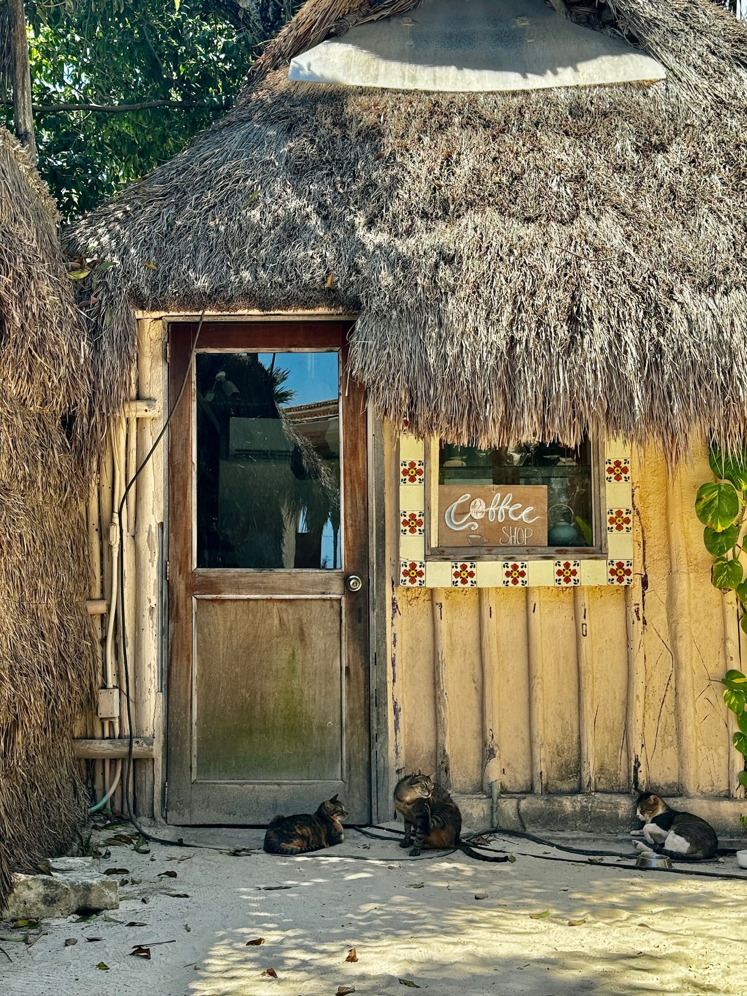 A wooden hut with a straw roof and wooden door, mosaic tile framed window and three cats sitting in front of it.