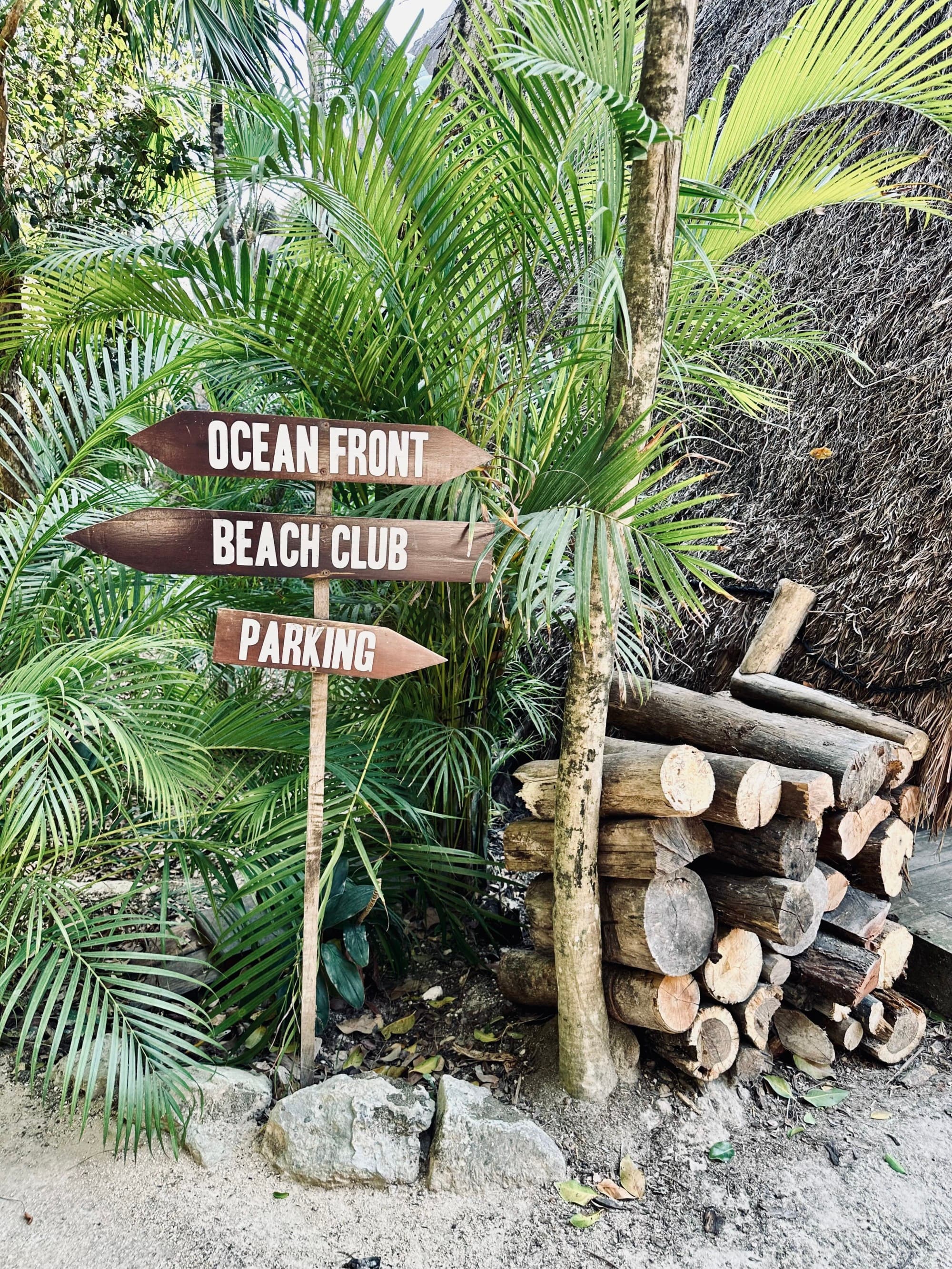 A picture of wooden directional signs, palm trees and logs stacked up in a pile on the right.