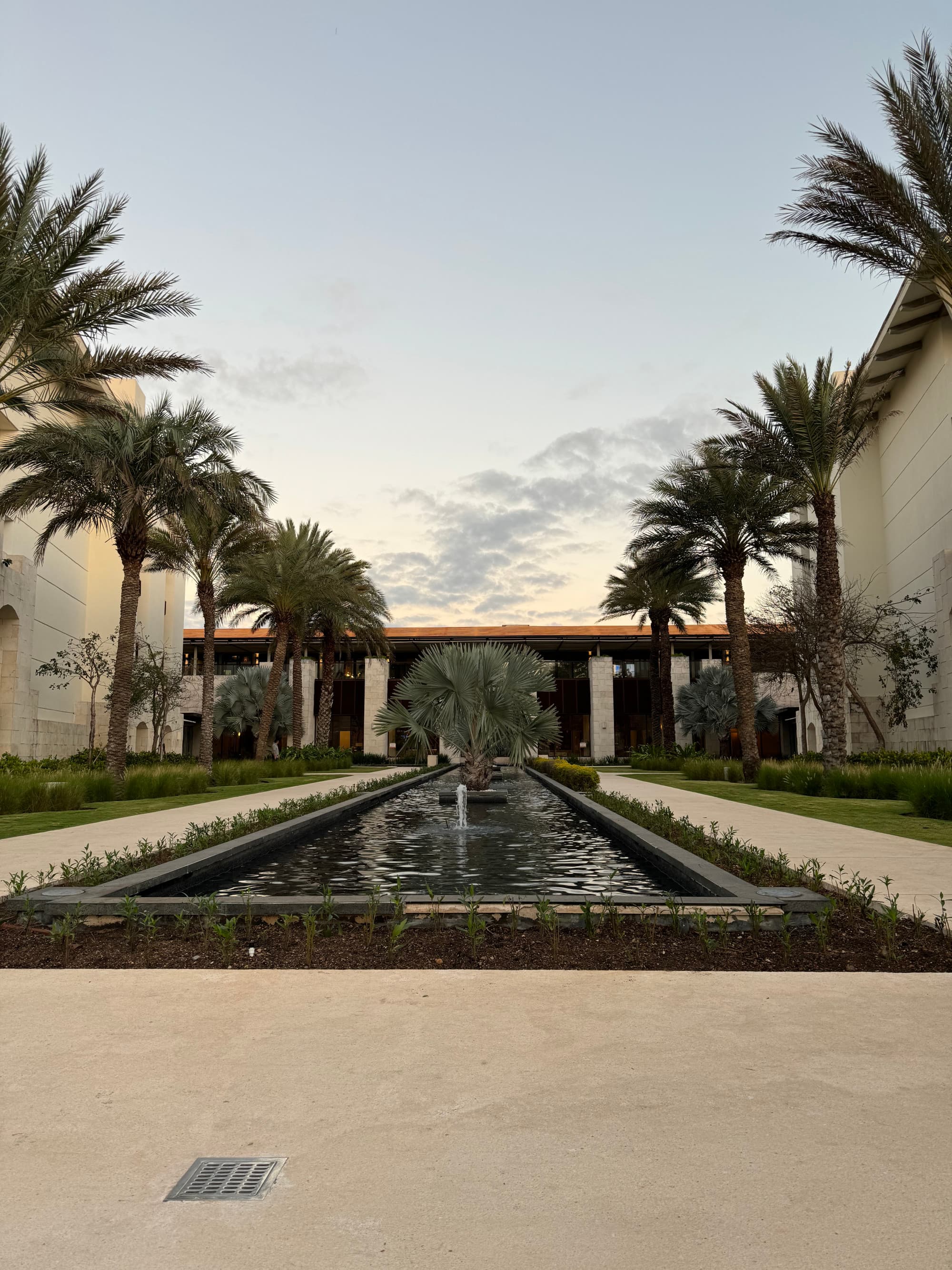 An outdoor terrace with palm trees lining the sides of a long fountain and floral landscaping.