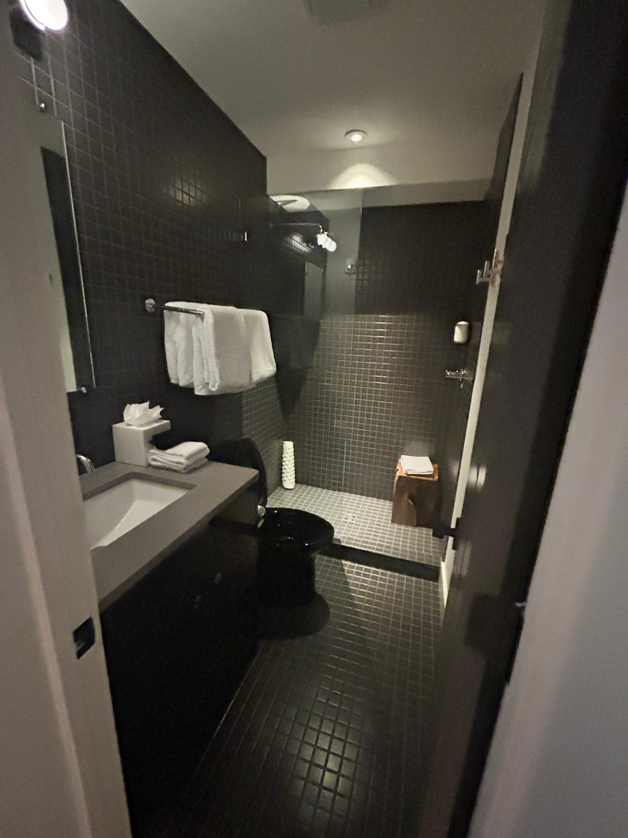 Bathroom of a hotel room with dark floors and walls