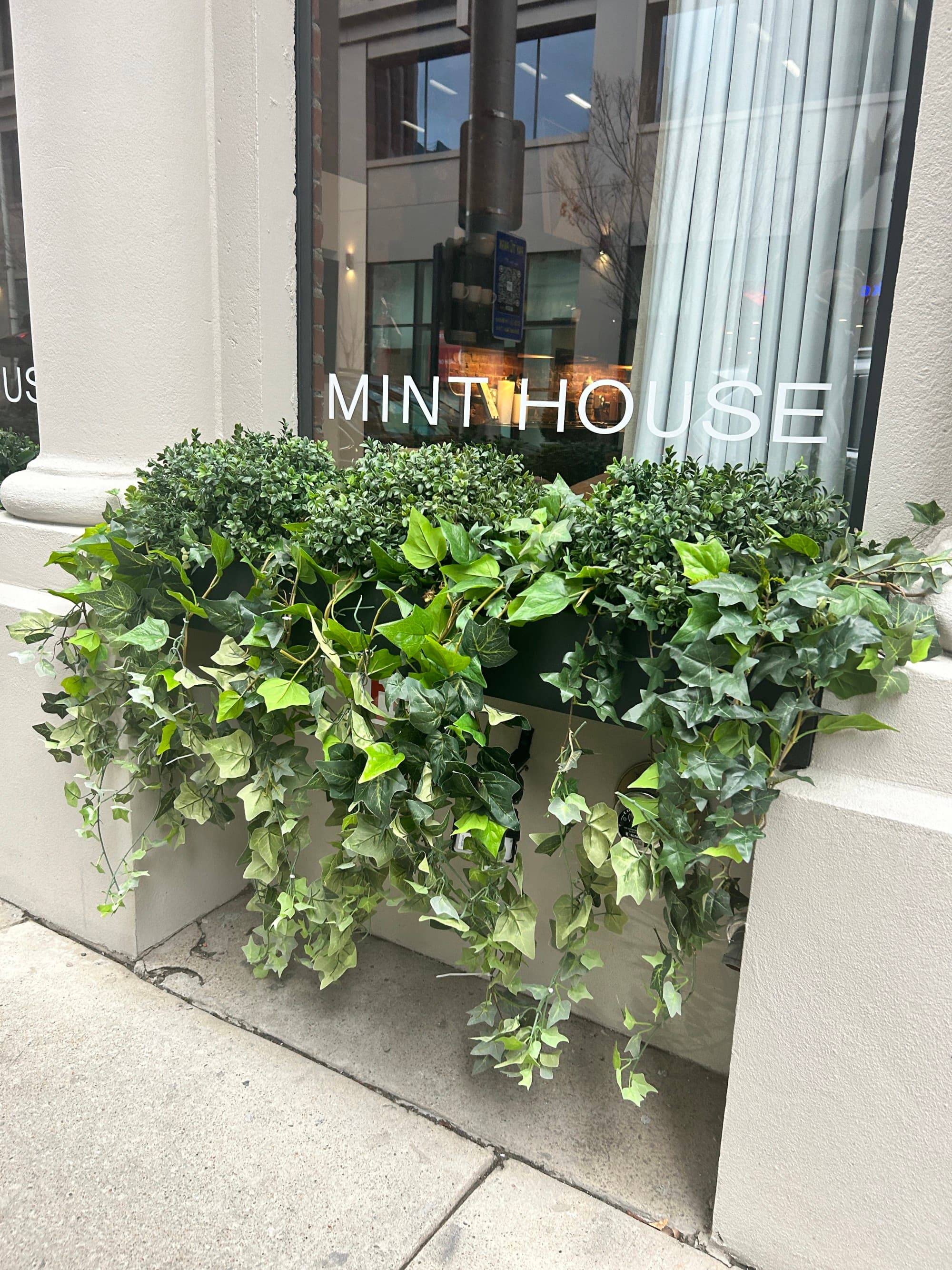 A window of a white building with plants in the window and "MINTHOUSE" written on the glass