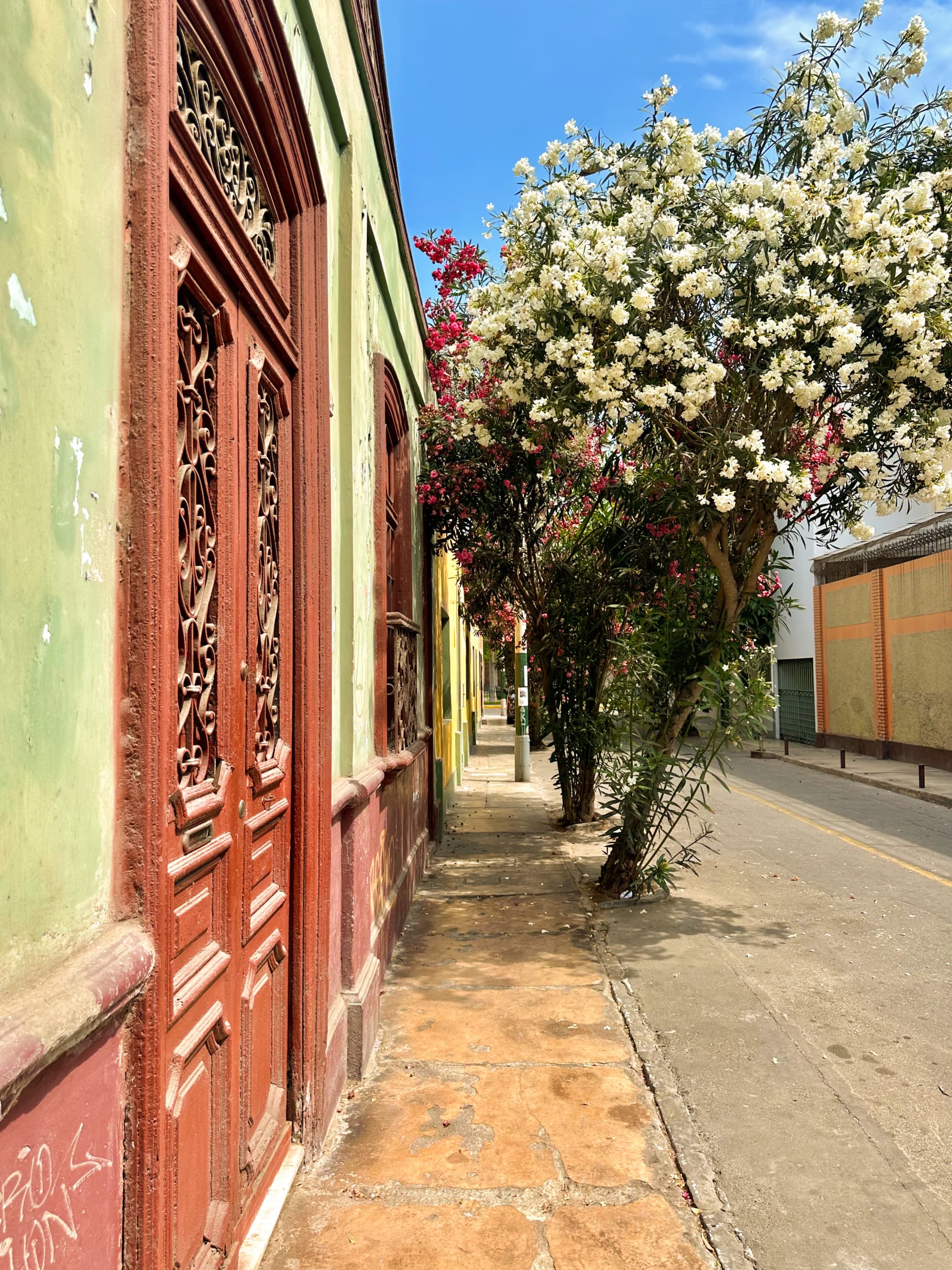 View of a street