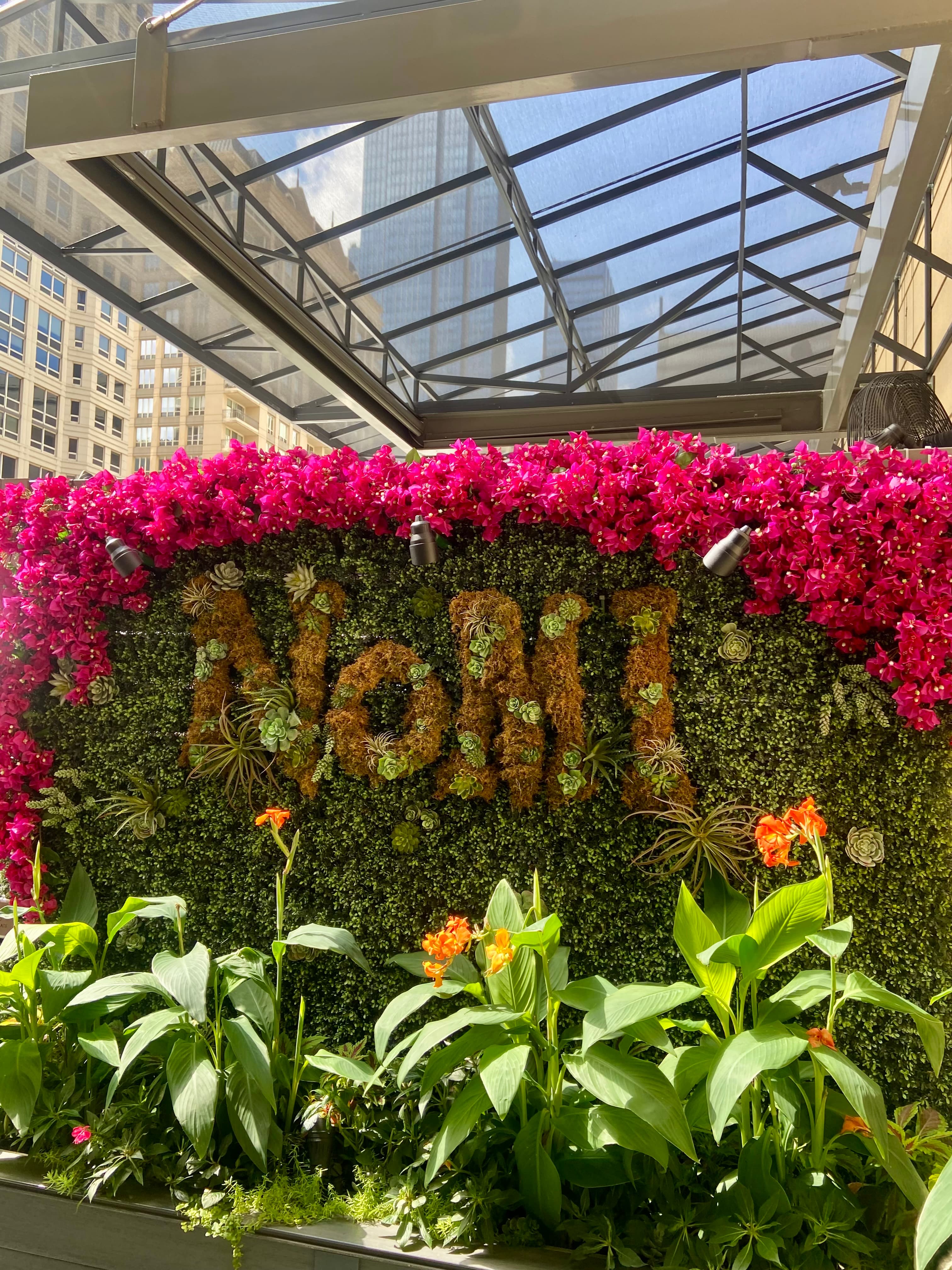 View of a floral backdrop