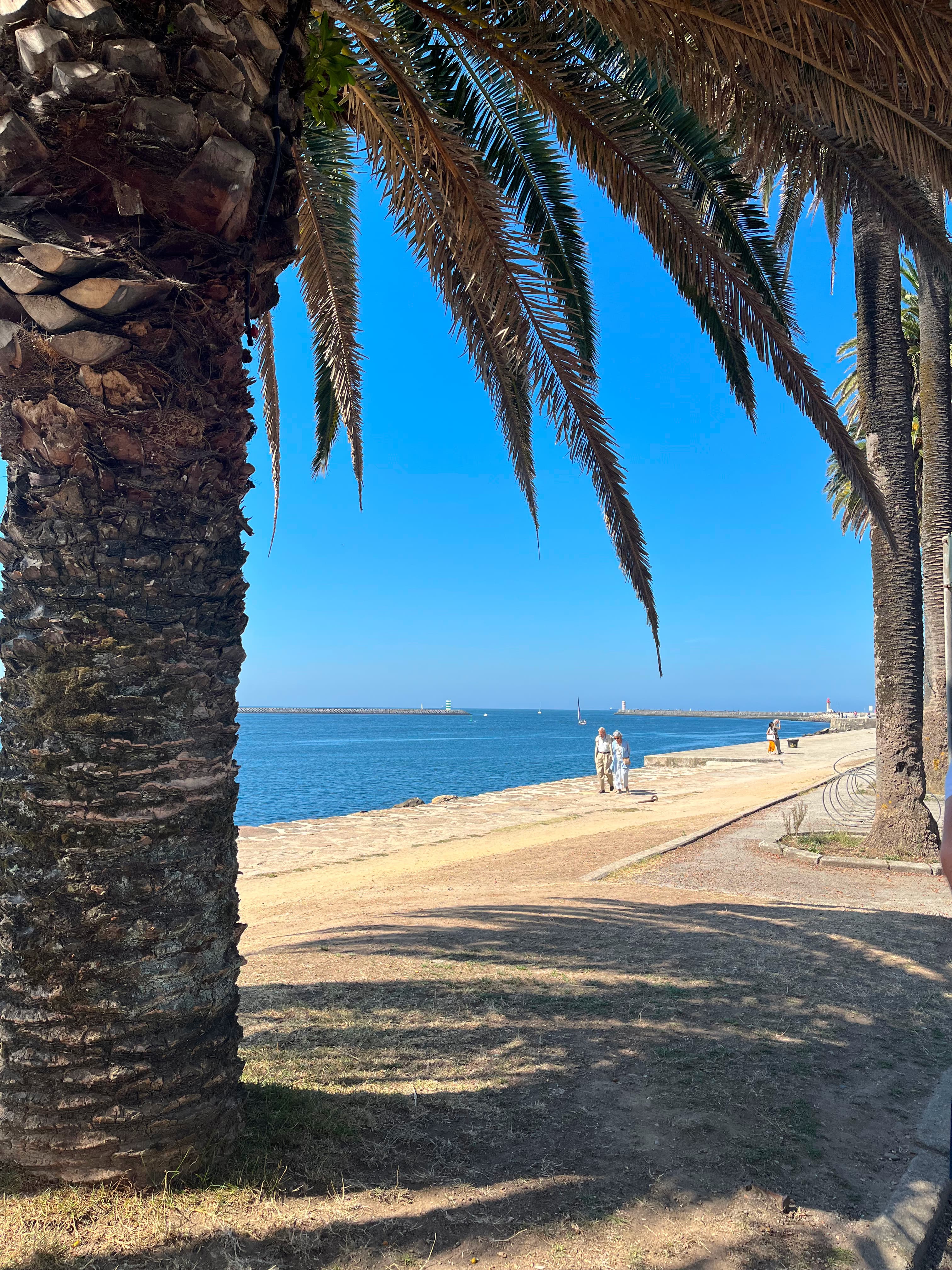 Sea and seaside view