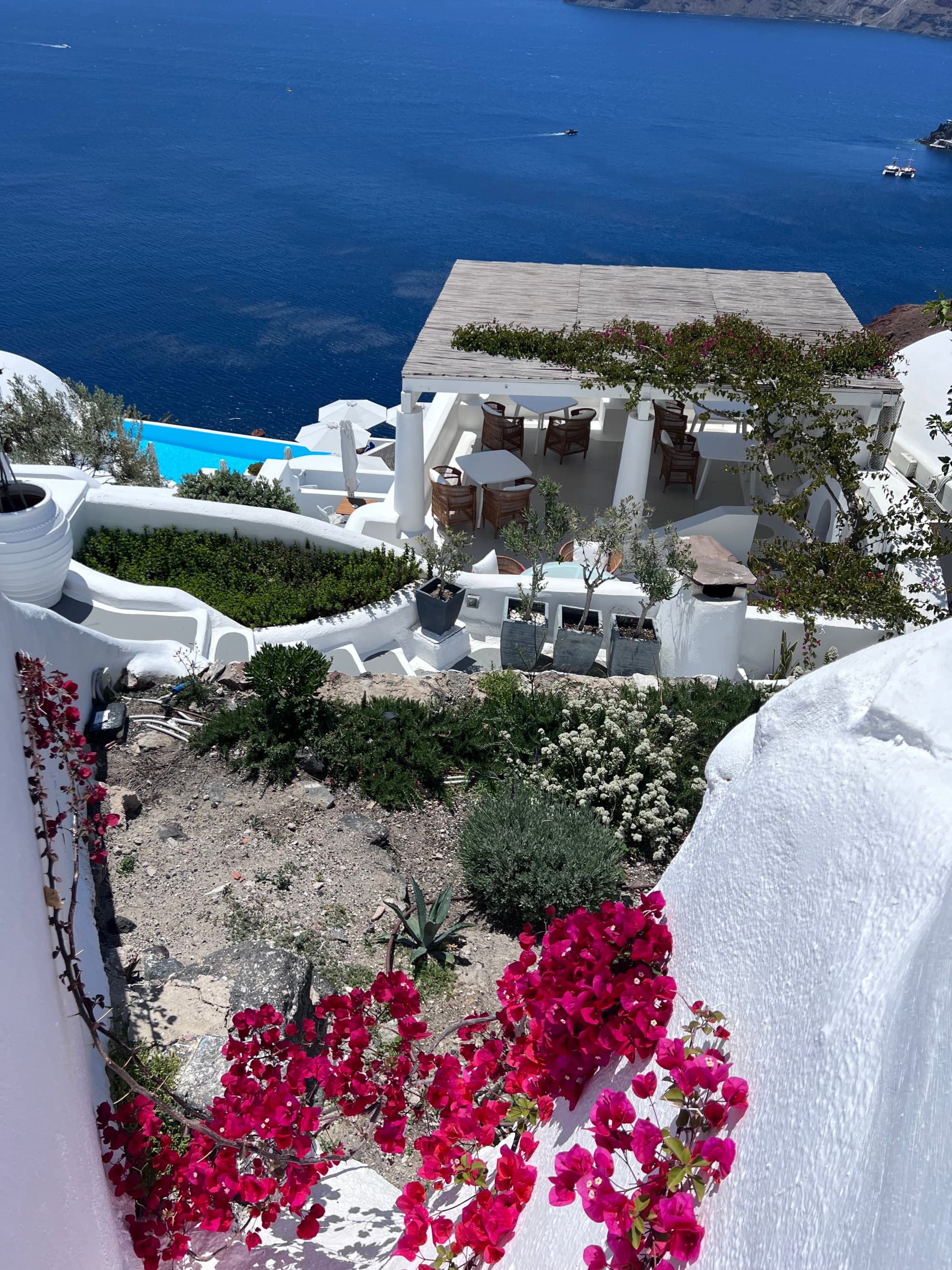 pink flowers on a balcony overlooking a seaside cliff