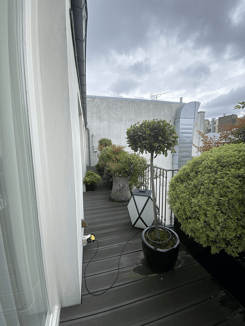 green plants in balcony