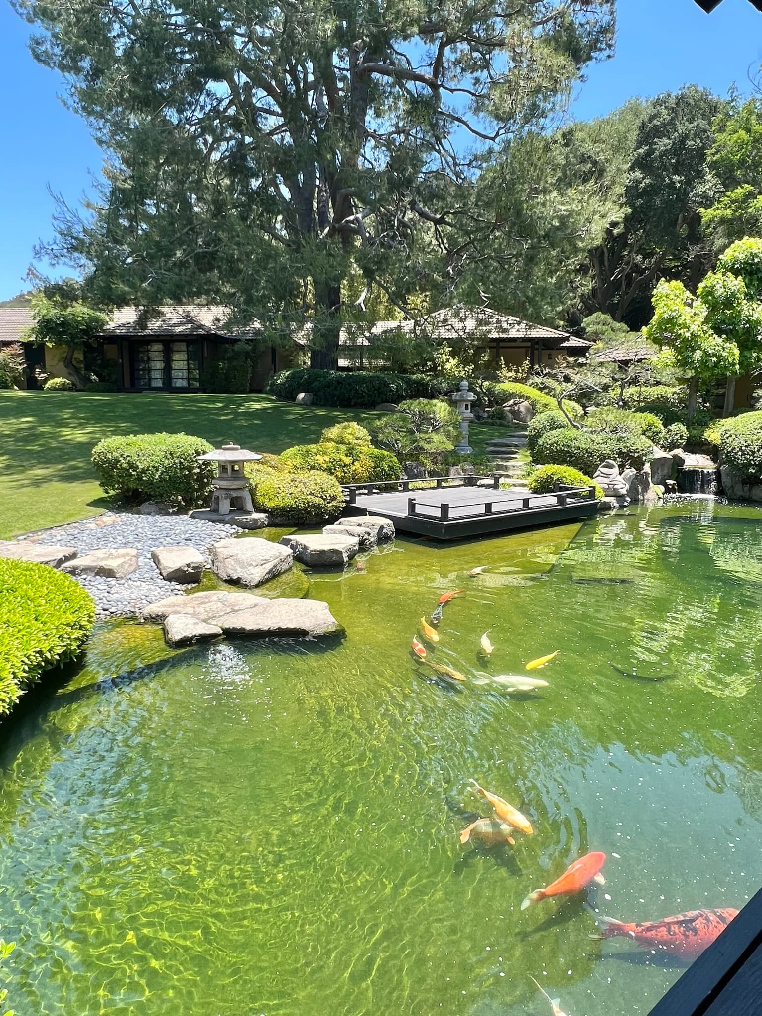 View of a pond