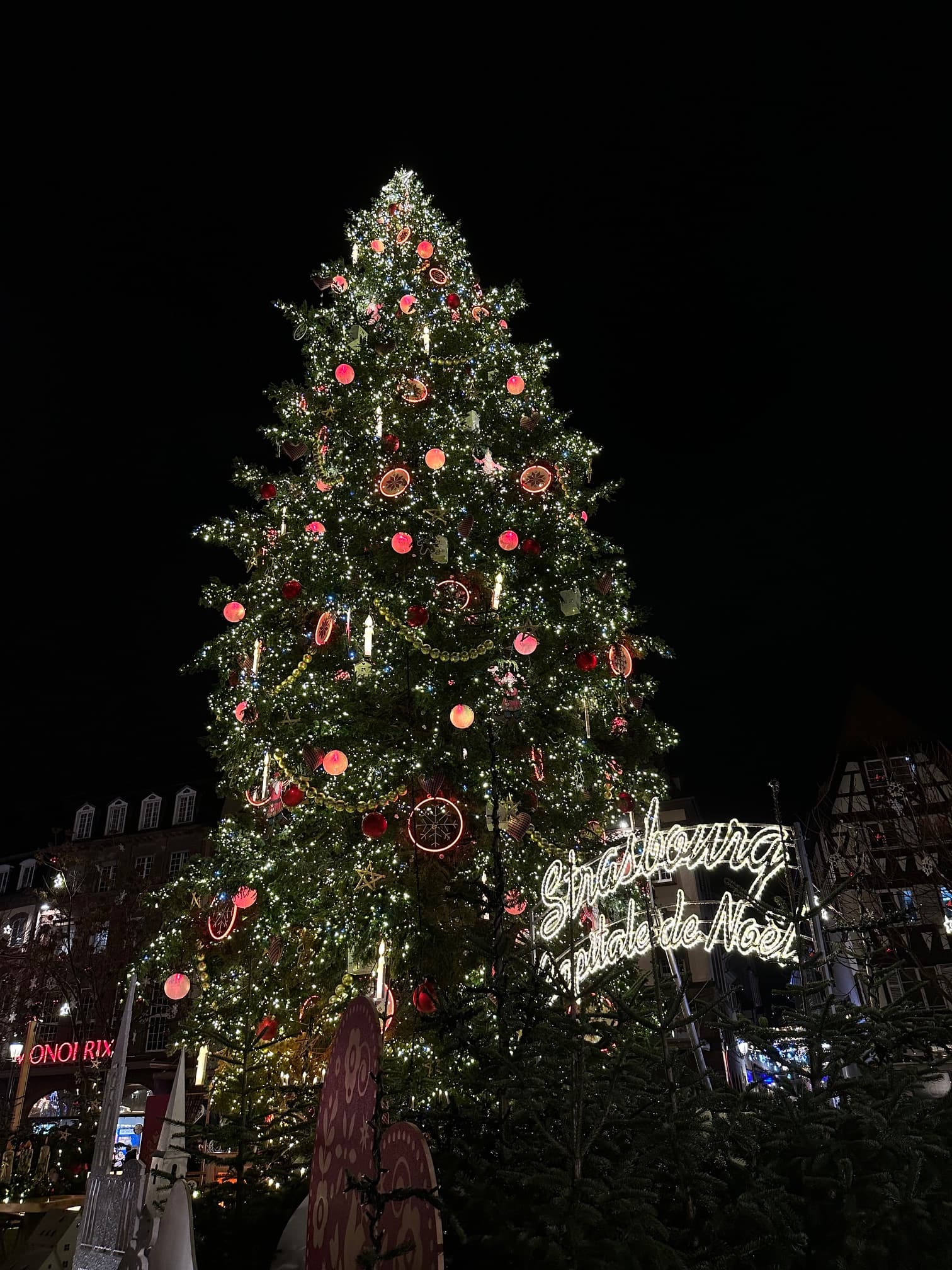 A tall Christmas tree outside during the nighttime