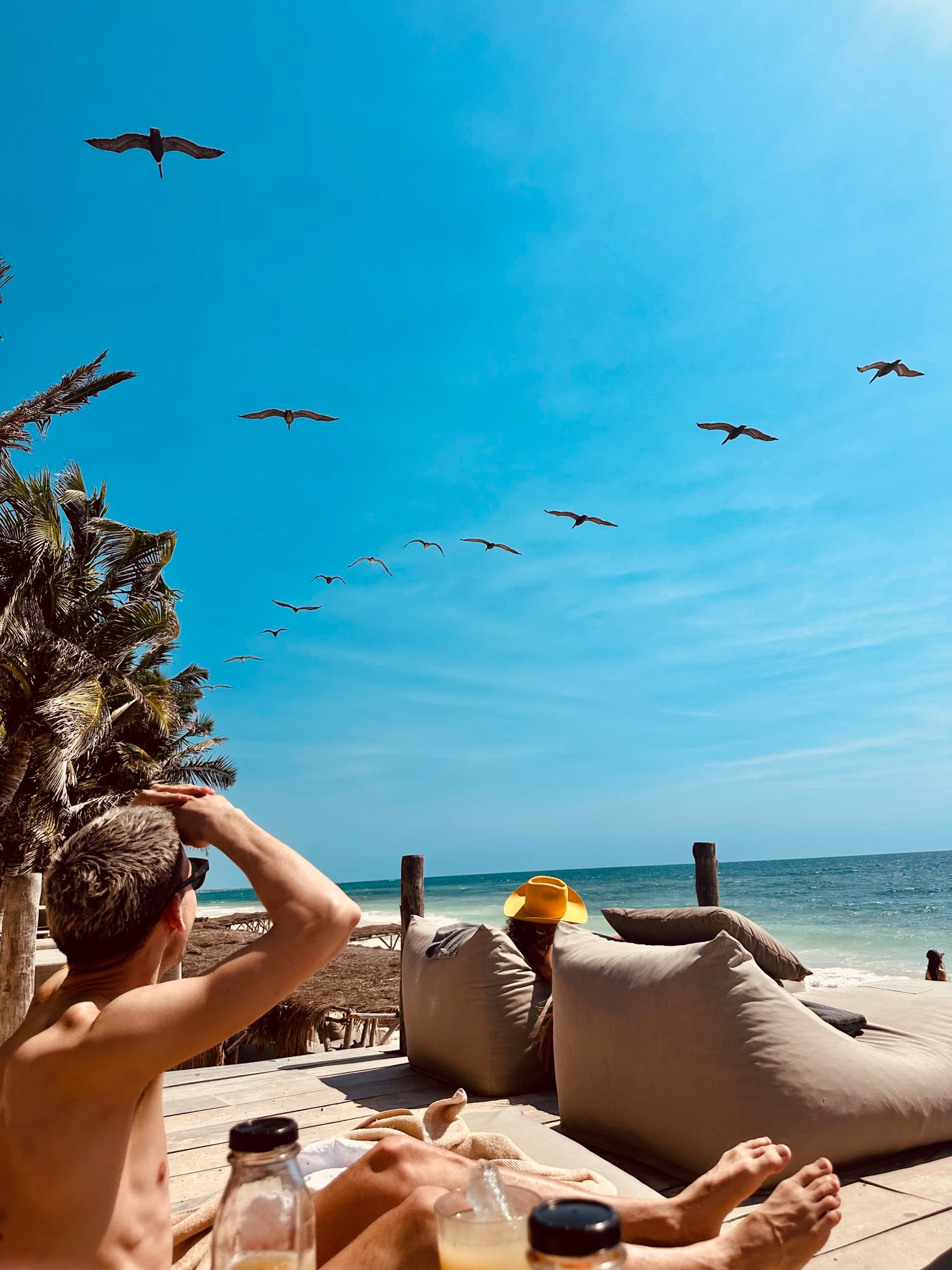 A picture of people lounging on a beach while looking up to birds flying in uniform beneath the blue sky.