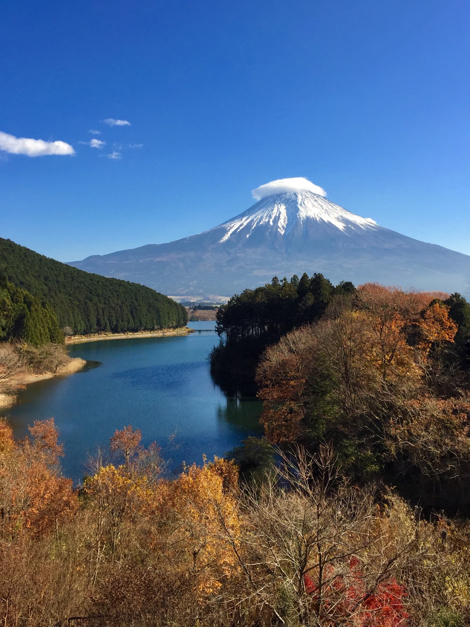 A beautiful view of Lake Tanuki with Mt. Fuji and its hat-shaped cloud, and surrounding autumn-colored foliage