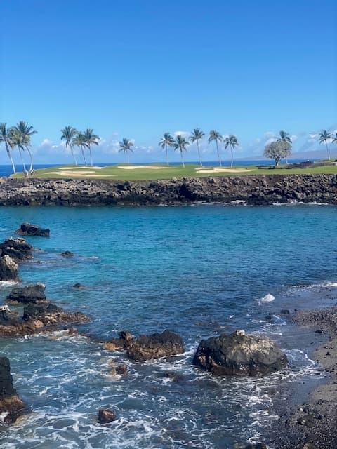 A picture of a blue harbor in Hawaii with a golf course, palm trees and rocks in view.