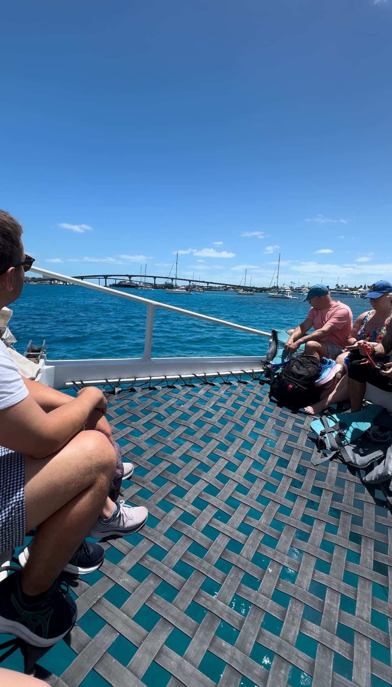 People sitting with their luggage on a net above the water, with ships and a port in the distance on a sunny day.