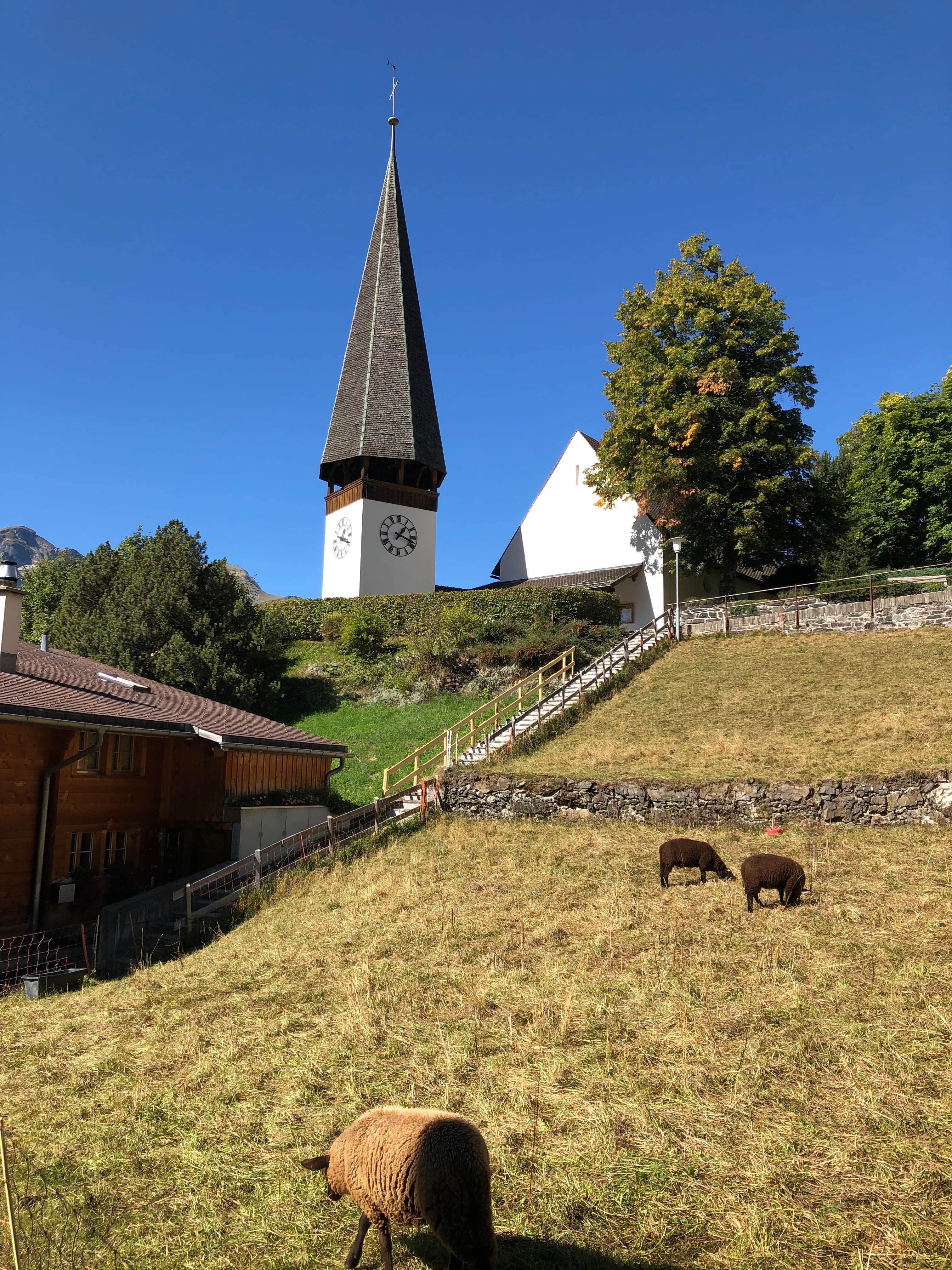 An uphill field, with some farm animals grazing, a church steeple, some trees, and a big blue sky.