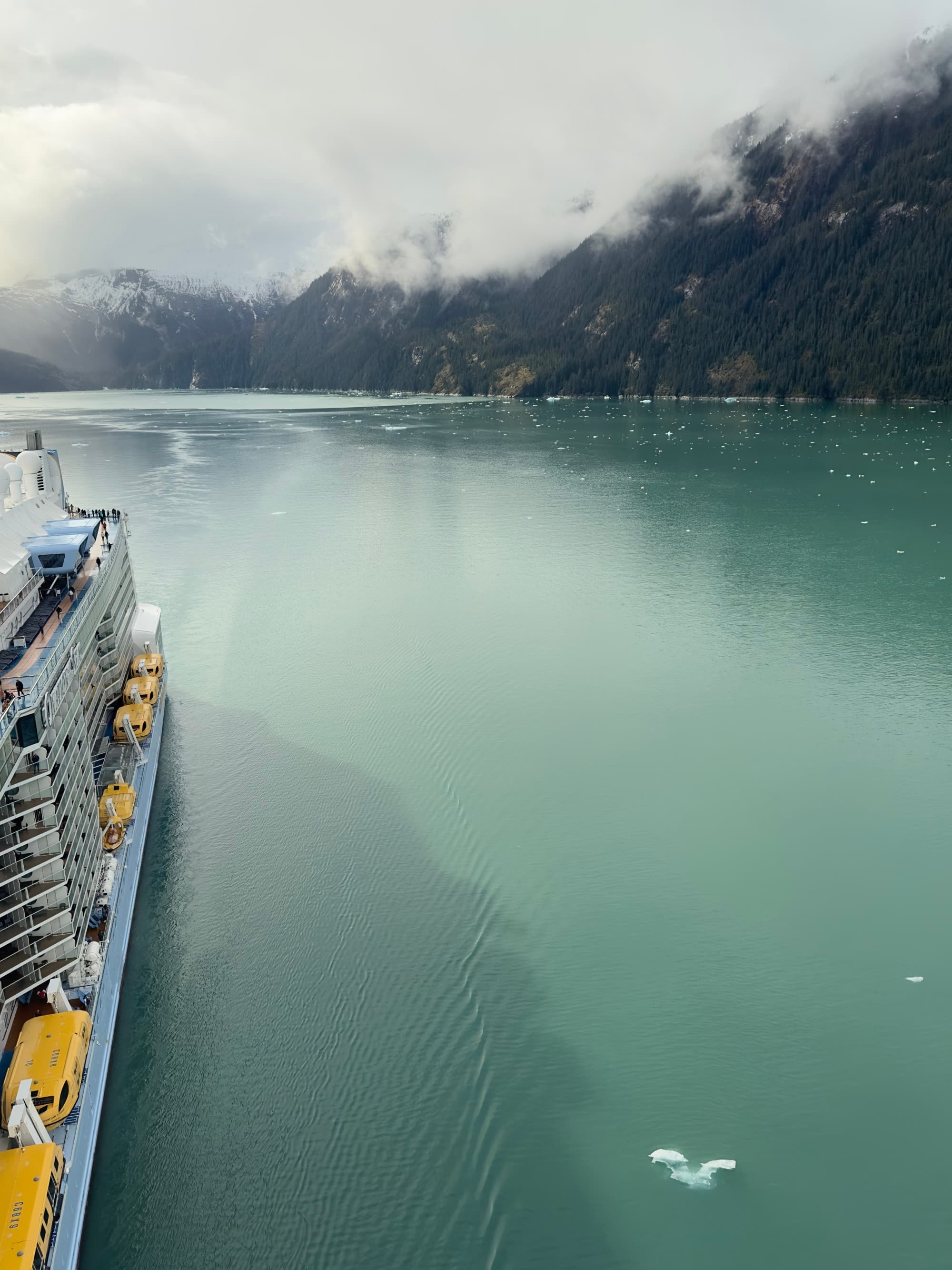 The cruise ship through Endicott Arm, with mountains next to water